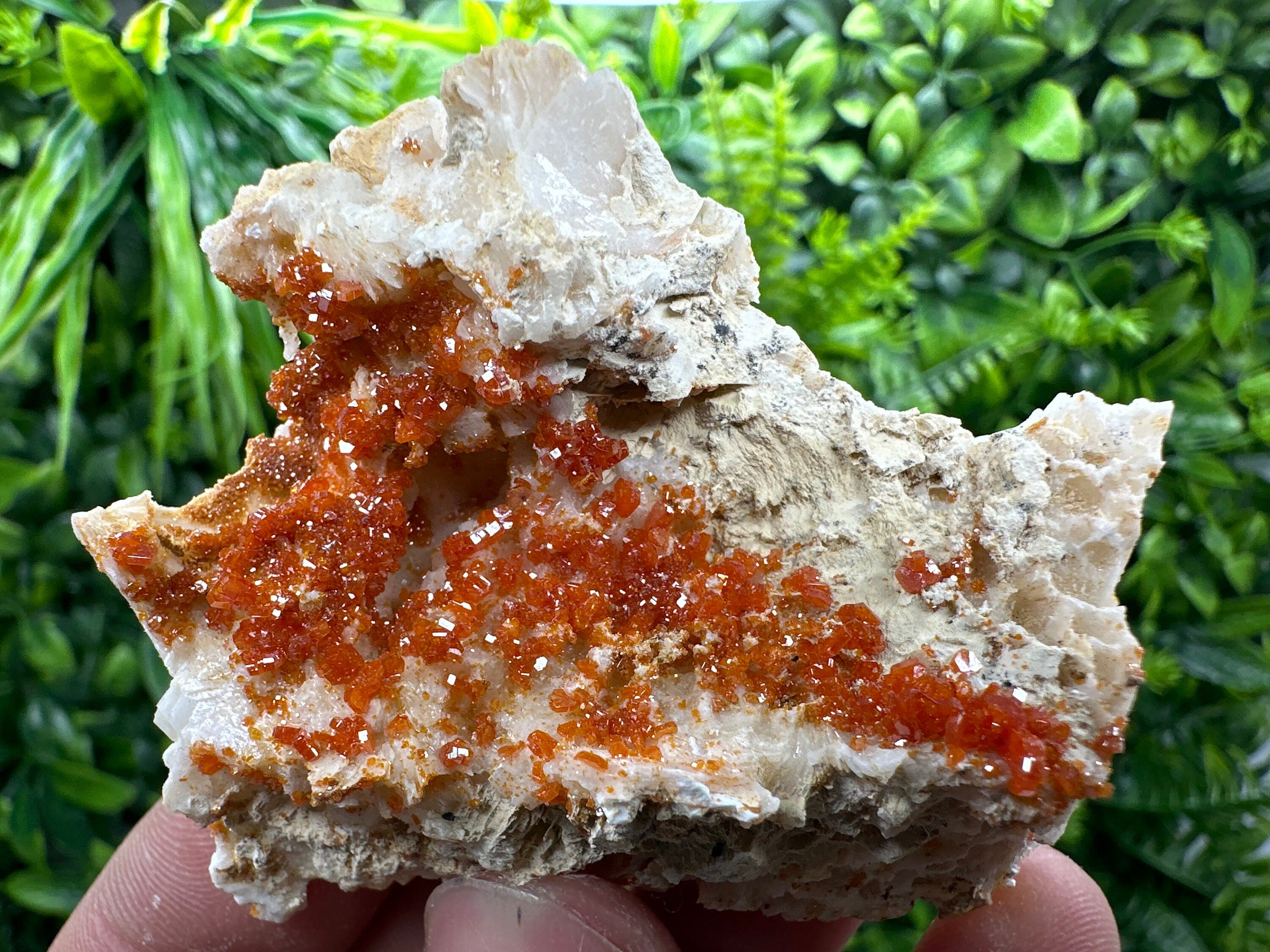 Red Vanadinite Crystal Cluster on Matrix, Morocco Mineral Specimen