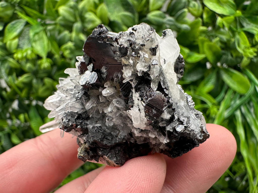Wonderful Sphalerite Chalcopyrite on  Quartz whit Galena feom 9 th September mine,Bulgaria,natural,collection mineral specimen,gift