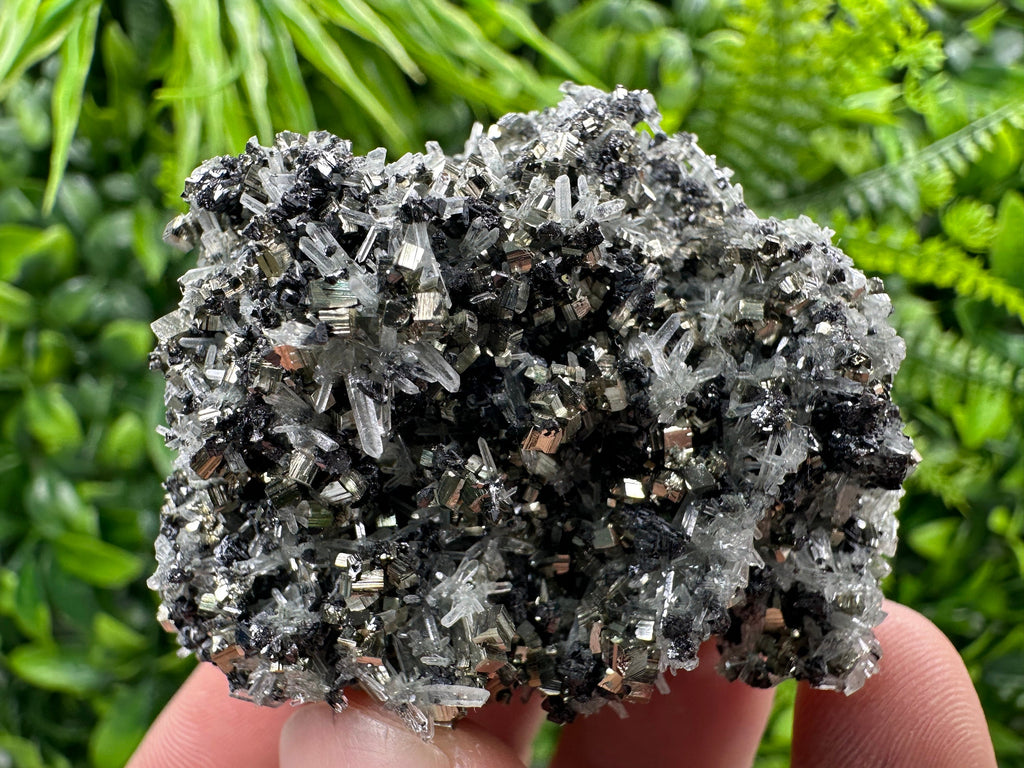 Pyrite on Quartz Needles, Borieva Mine Bulgaria, Mineral Specimen