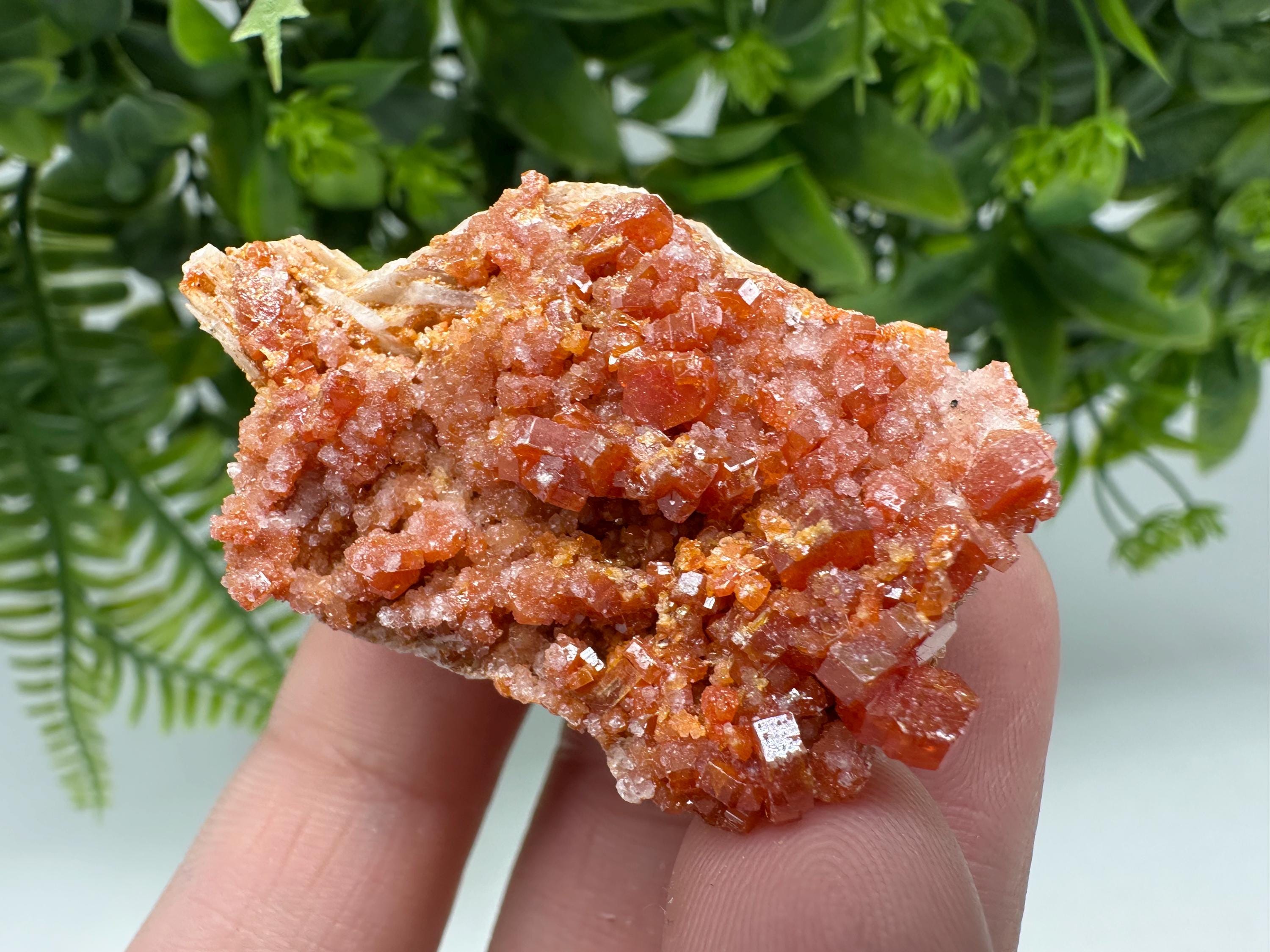 Red Vanadinite Crystal Cluster on Barite Matrix from Morocco, Mineral Specimen