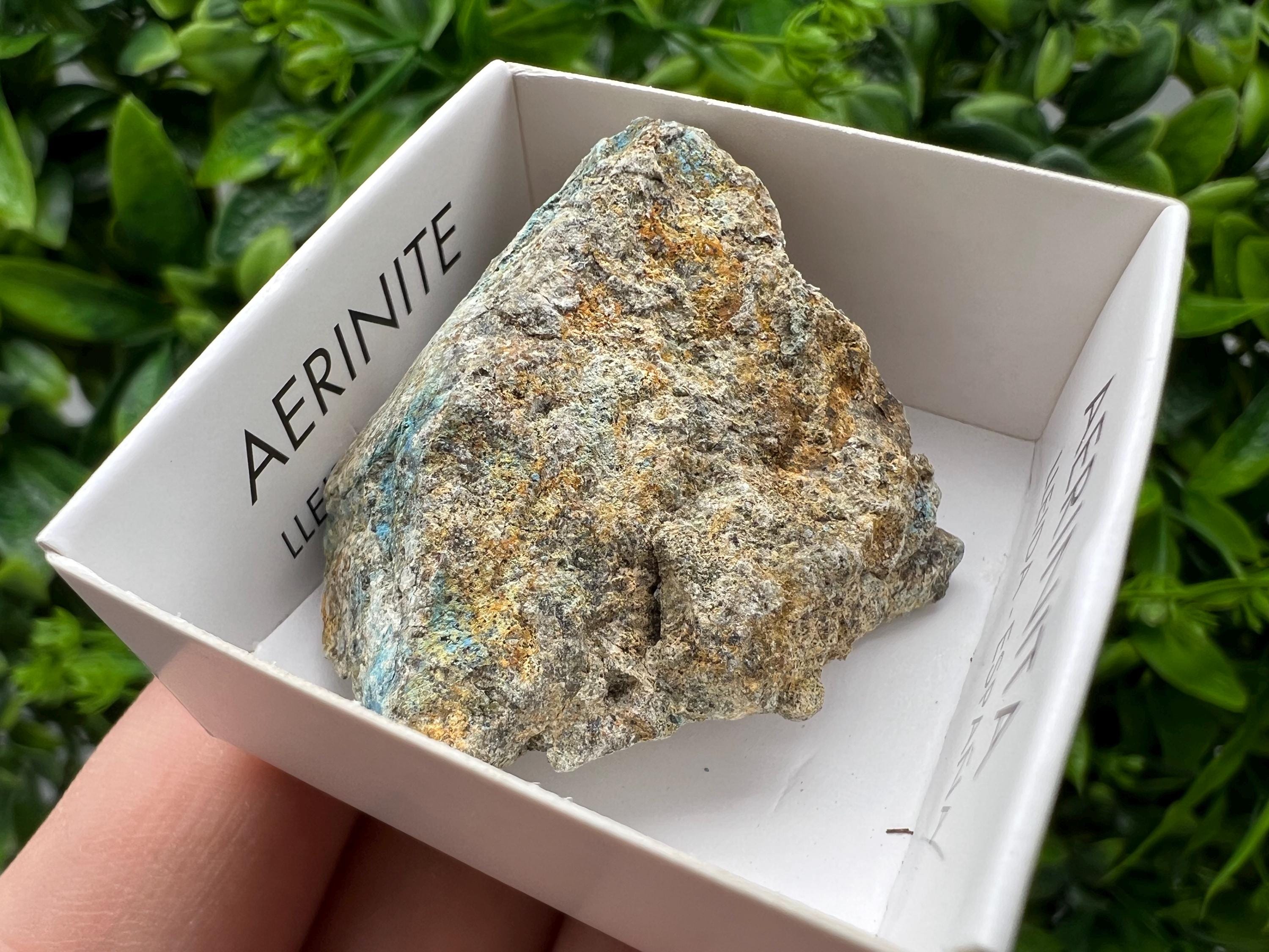 Rare Raw Aerinite Mineral Specimen: Collection Crystal from Lleida, Spain (4/3.5 CM)