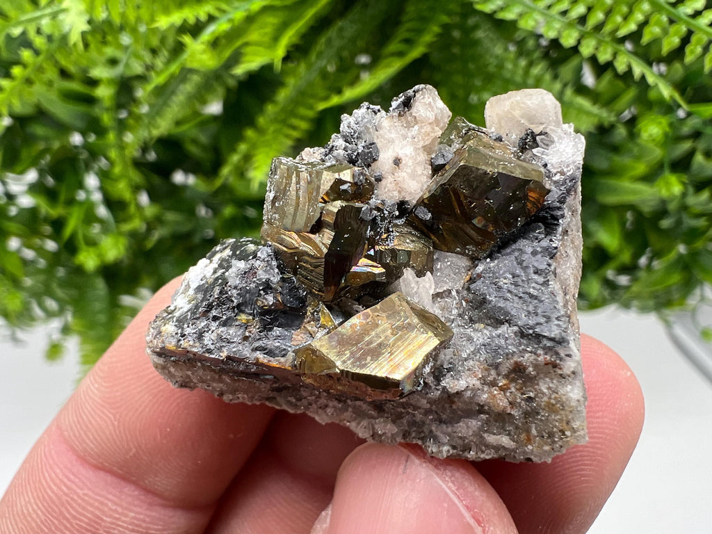 Pyrite with Hematite, Sphalerite and Quartz Specimen, Bulgaria