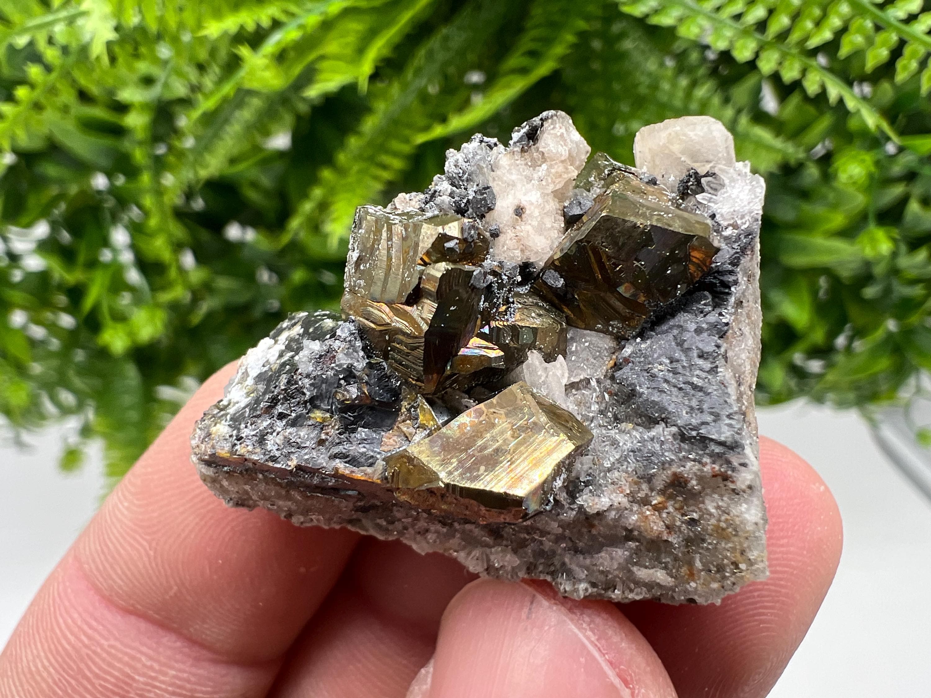 Pyrite with Hematite, Sphalerite and Quartz Specimen, Bulgaria