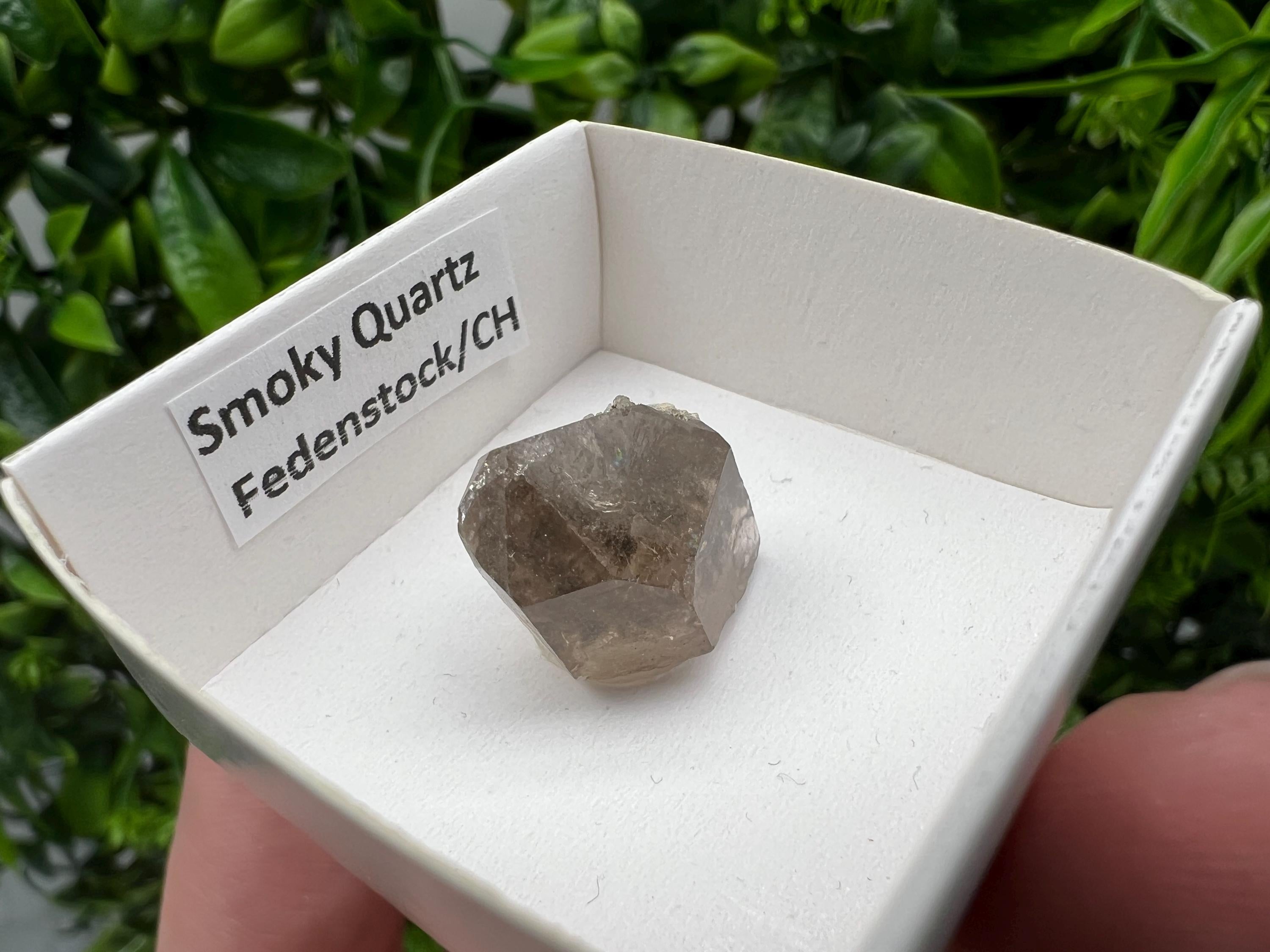 Rare Fedenstock Smoky Quartz Point, Swiss Mineral Specimen (20MM)