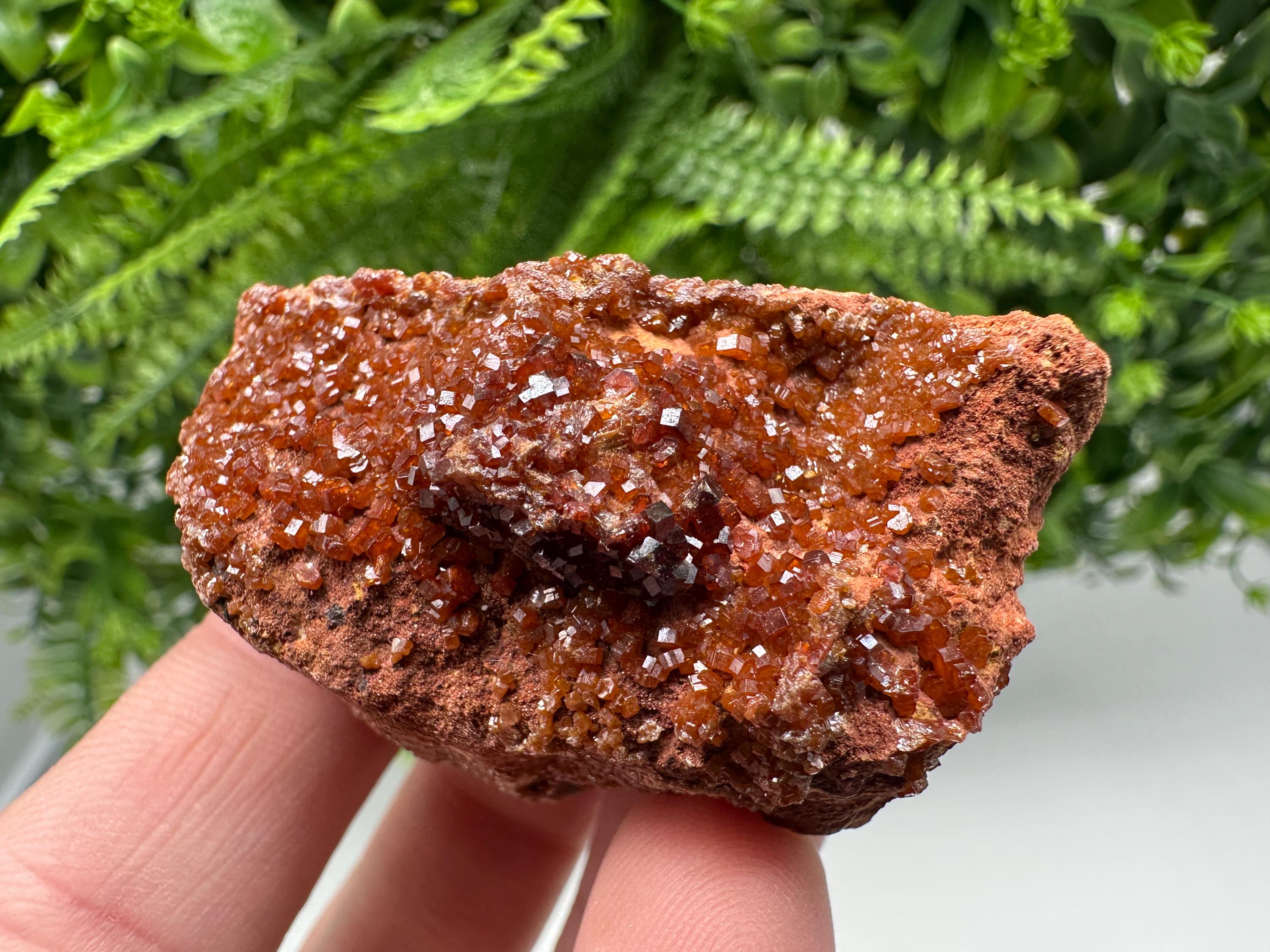 Red Vanadinite on Matrix from Marocco,crystal minerals Speciment cluster Vanadinite crystal Vanadinite Geology Vanadinite cluster minerals
