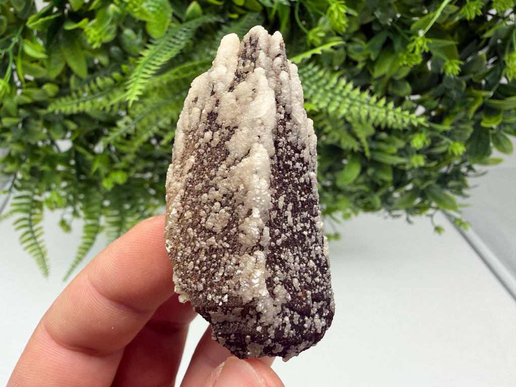 Brown Rhodochrosite on Calcite, Djurcovo Bulgaria, Mineral Specimen