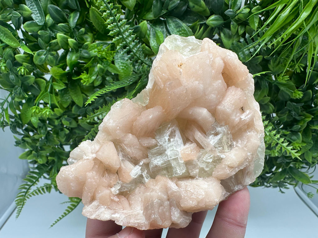 Apophyllite Stilbite on Chalcedony, India Crystal Specimen