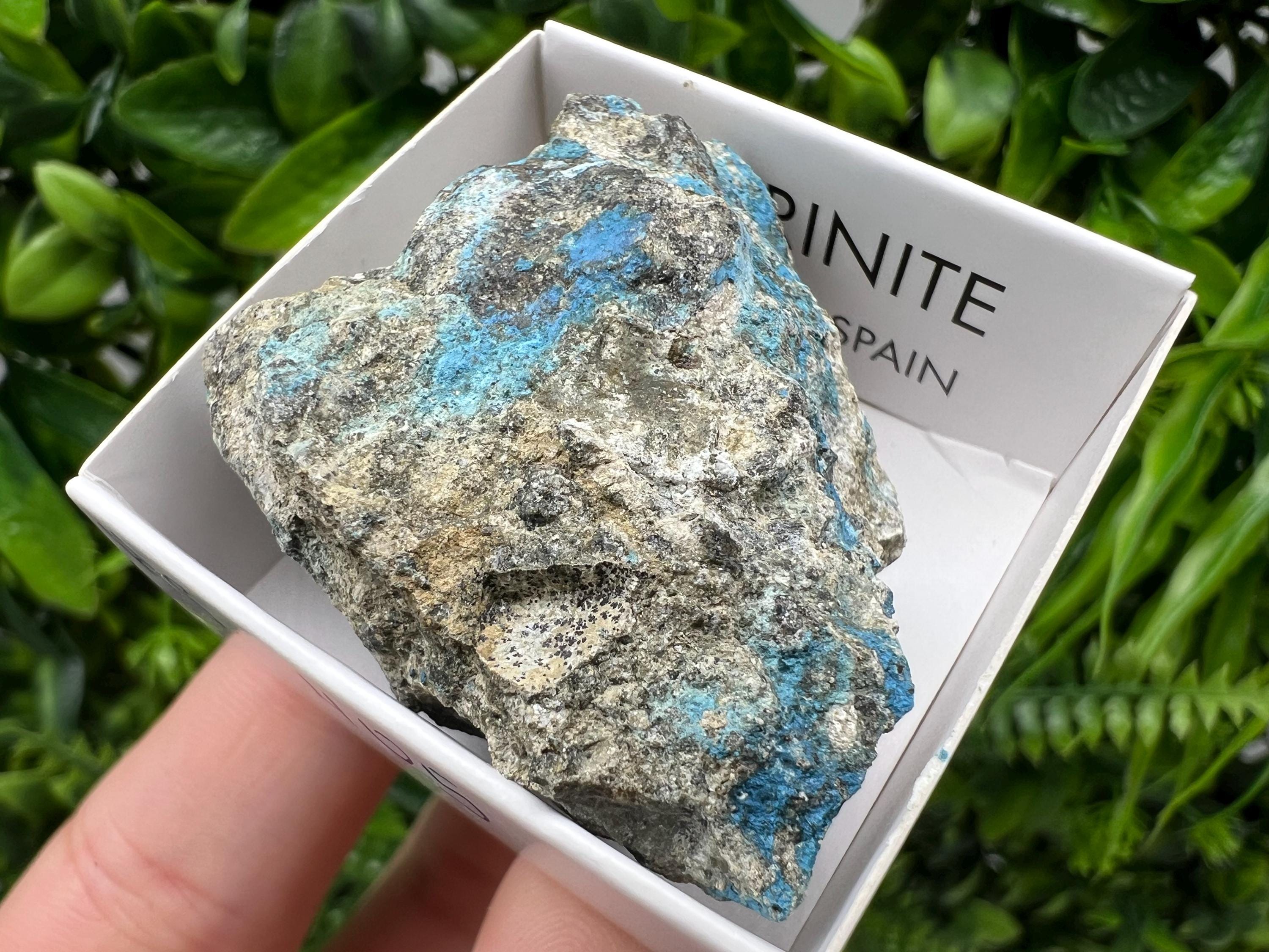 Rare Raw Aerinite Mineral Specimen: Lleida, Spain Collection Crystal