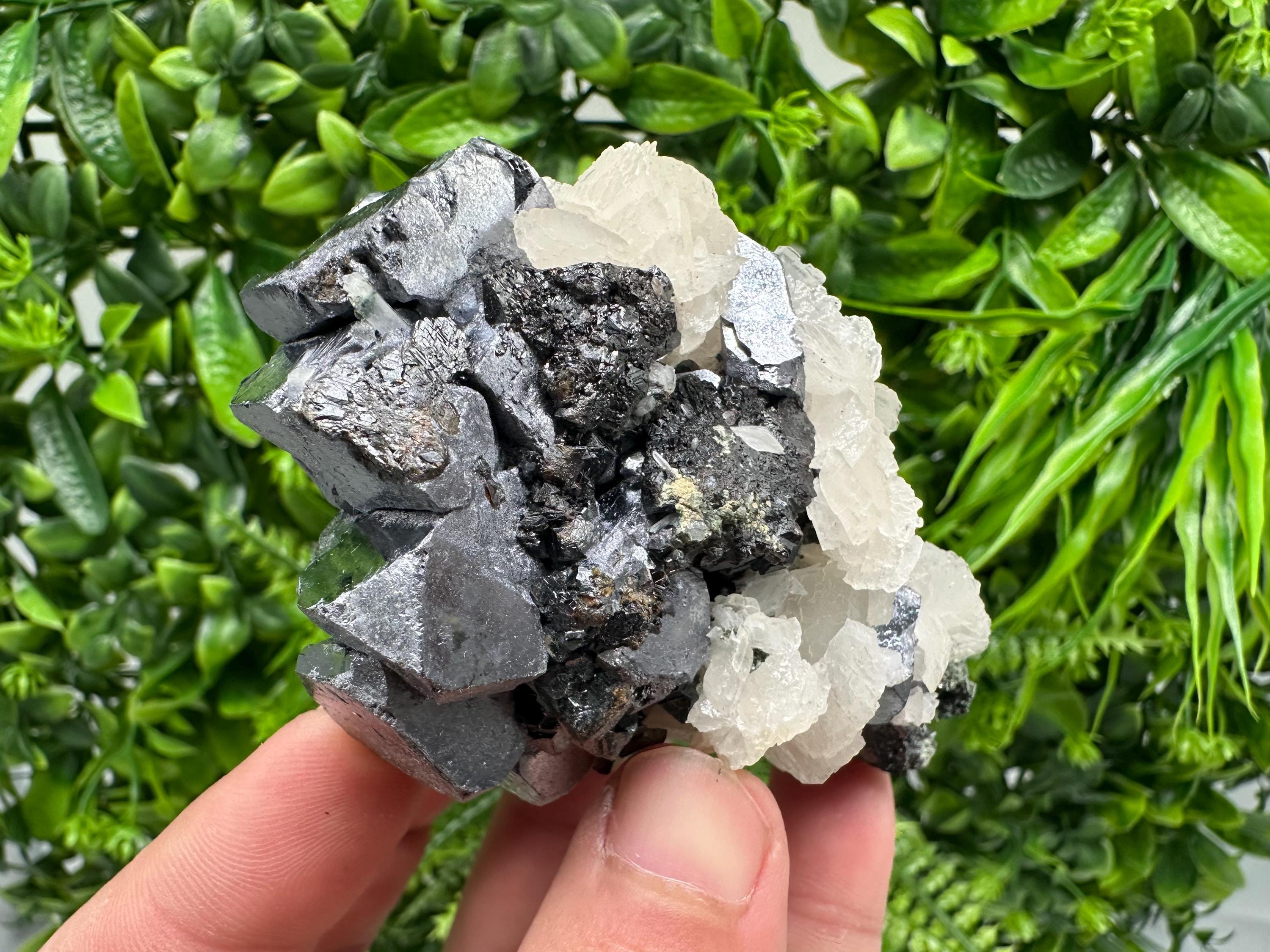 Mirror Galena, Sphalerite, Calcite Mineral Specimen: Borieva Mine, Bulgaria