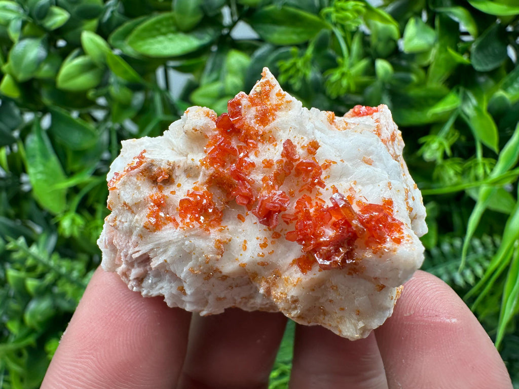 Red Vanadinite Crystal on Barite, Morocco Mineral Specimen