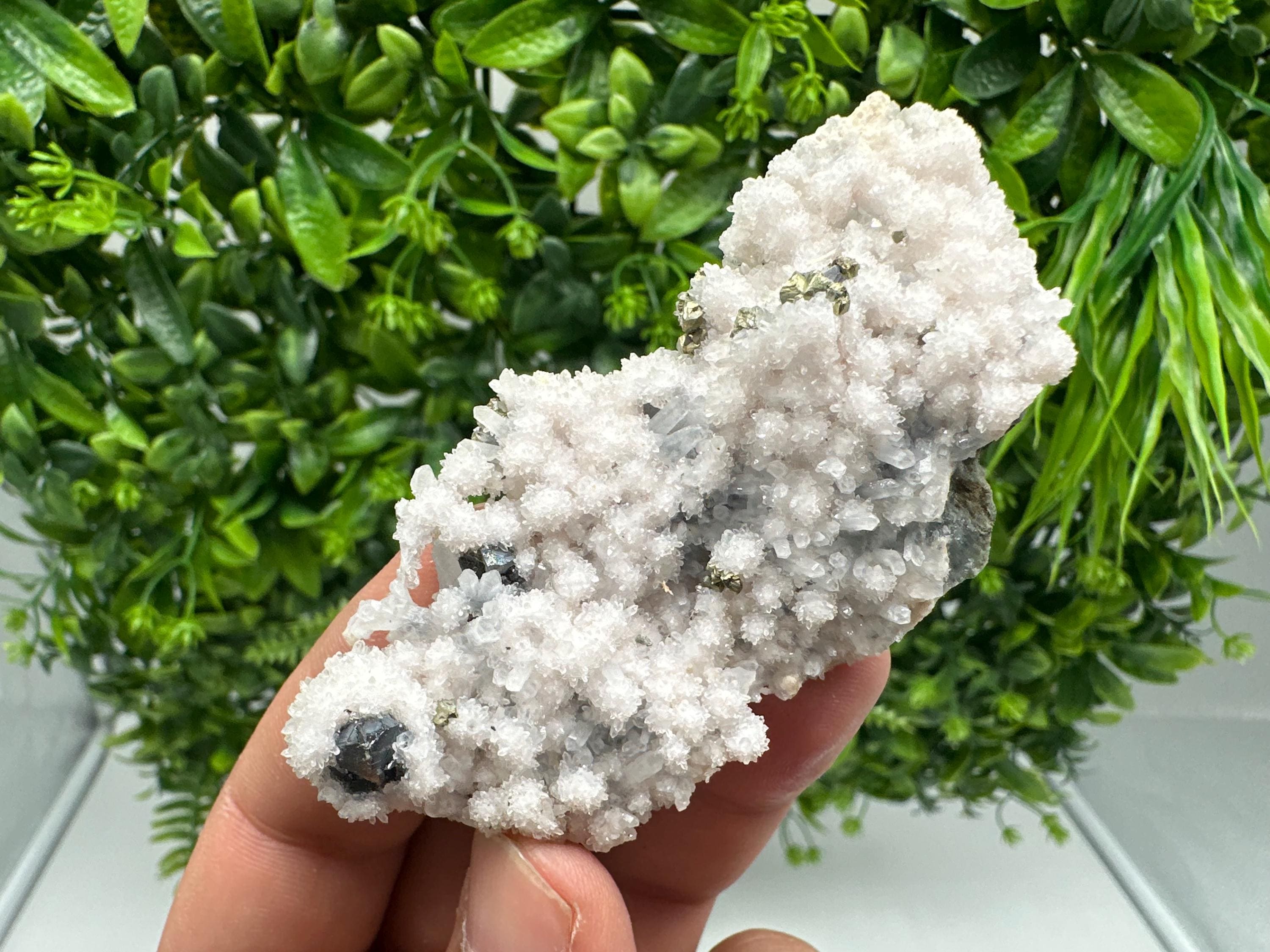Chalcopyrite on Quartz Specimen: Krushev dol Mine, Bulgaria