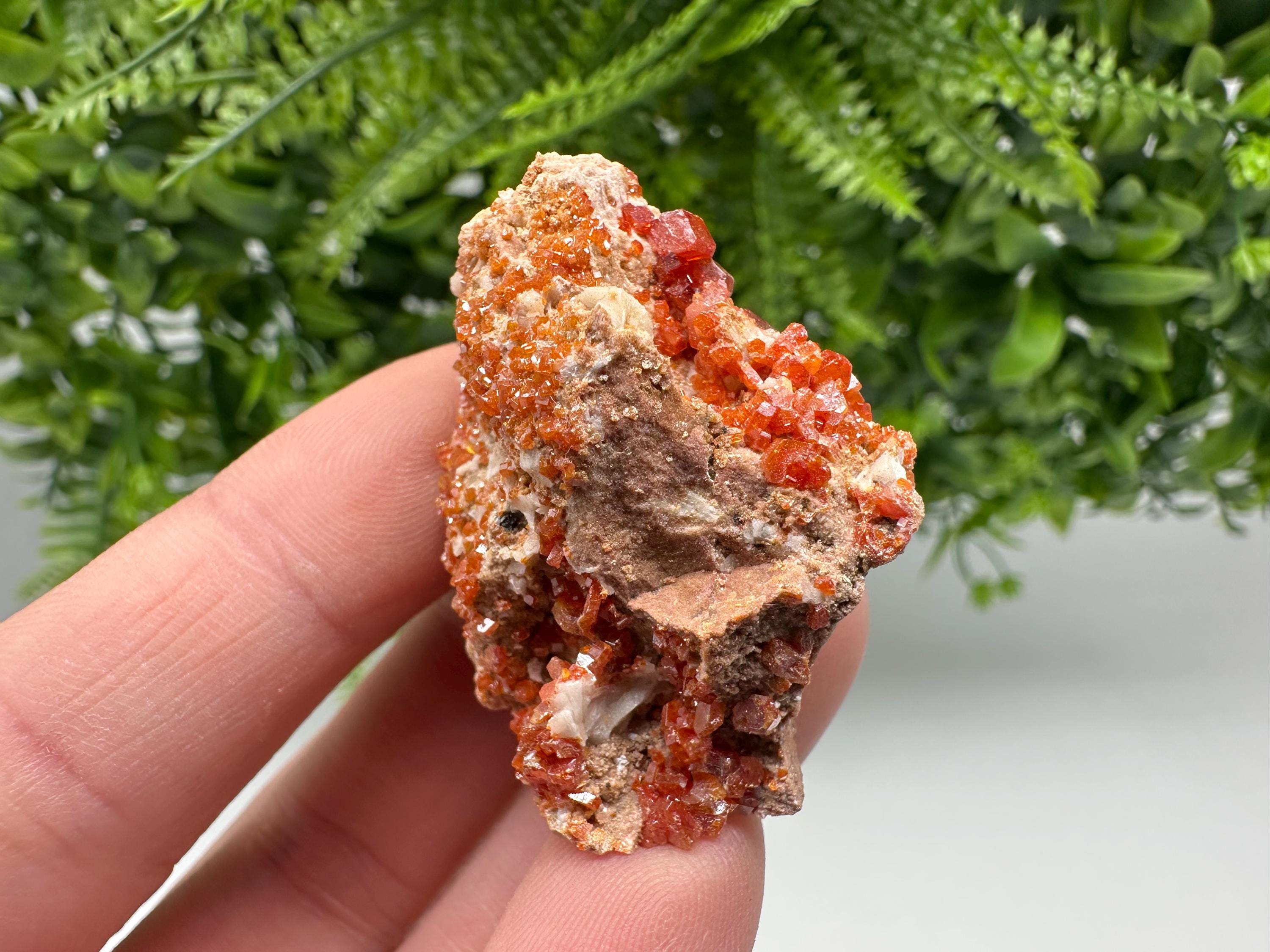 Red Vanadinite on Matrix from Marocco,crystal minerals Speciment cluster Vanadinite crystal Vanadinite Geology Vanadinite cluster minerals