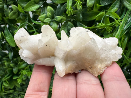 Calcite on Green Quartz: Laki Bulgaria Healing Crystal