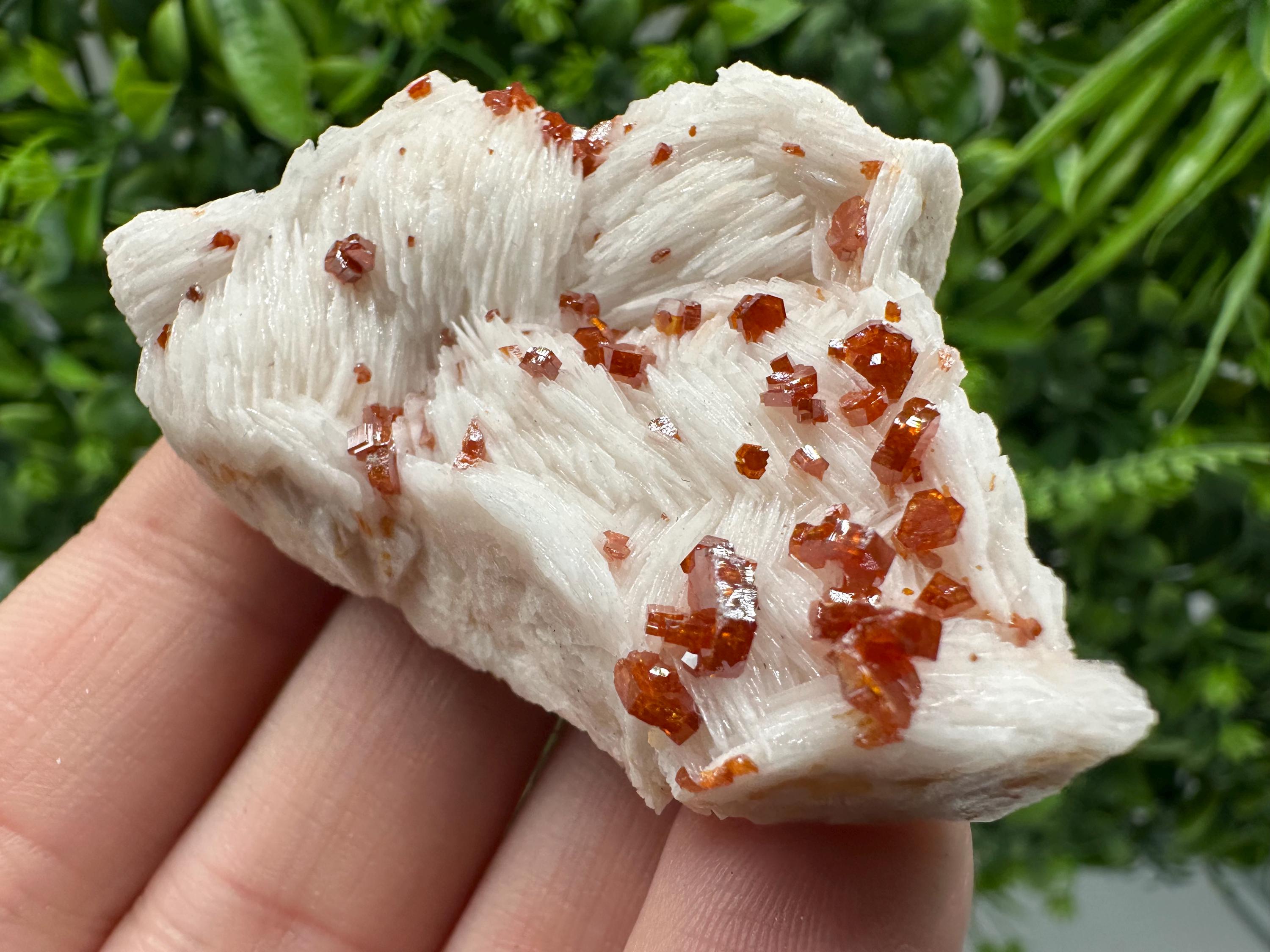 Red Vanadinite on Barite Cluster, Morocco Mineral Specimen