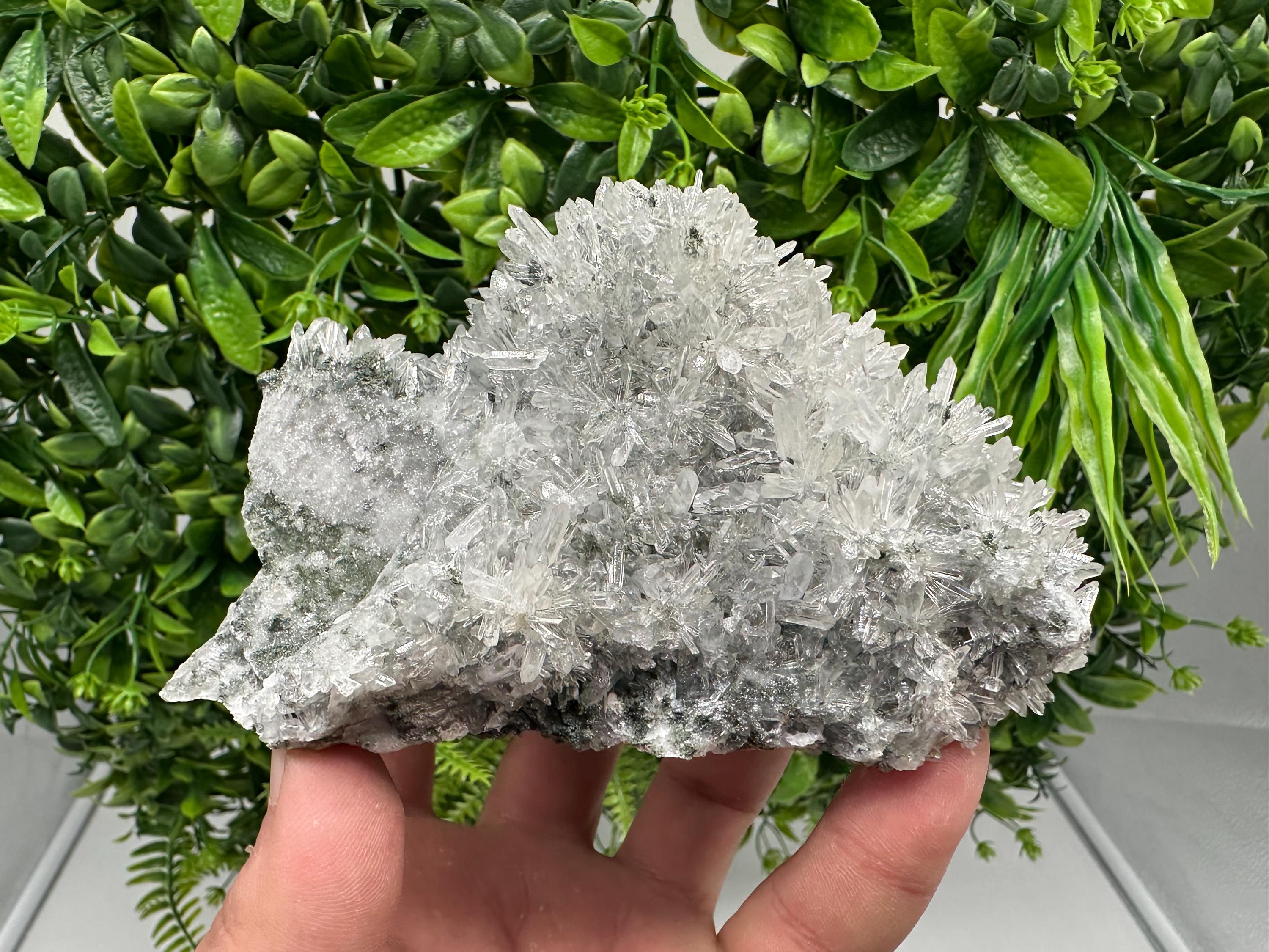 Transparent Quartz on Chlorite Matrix, Borieva Mine, Bulgaria