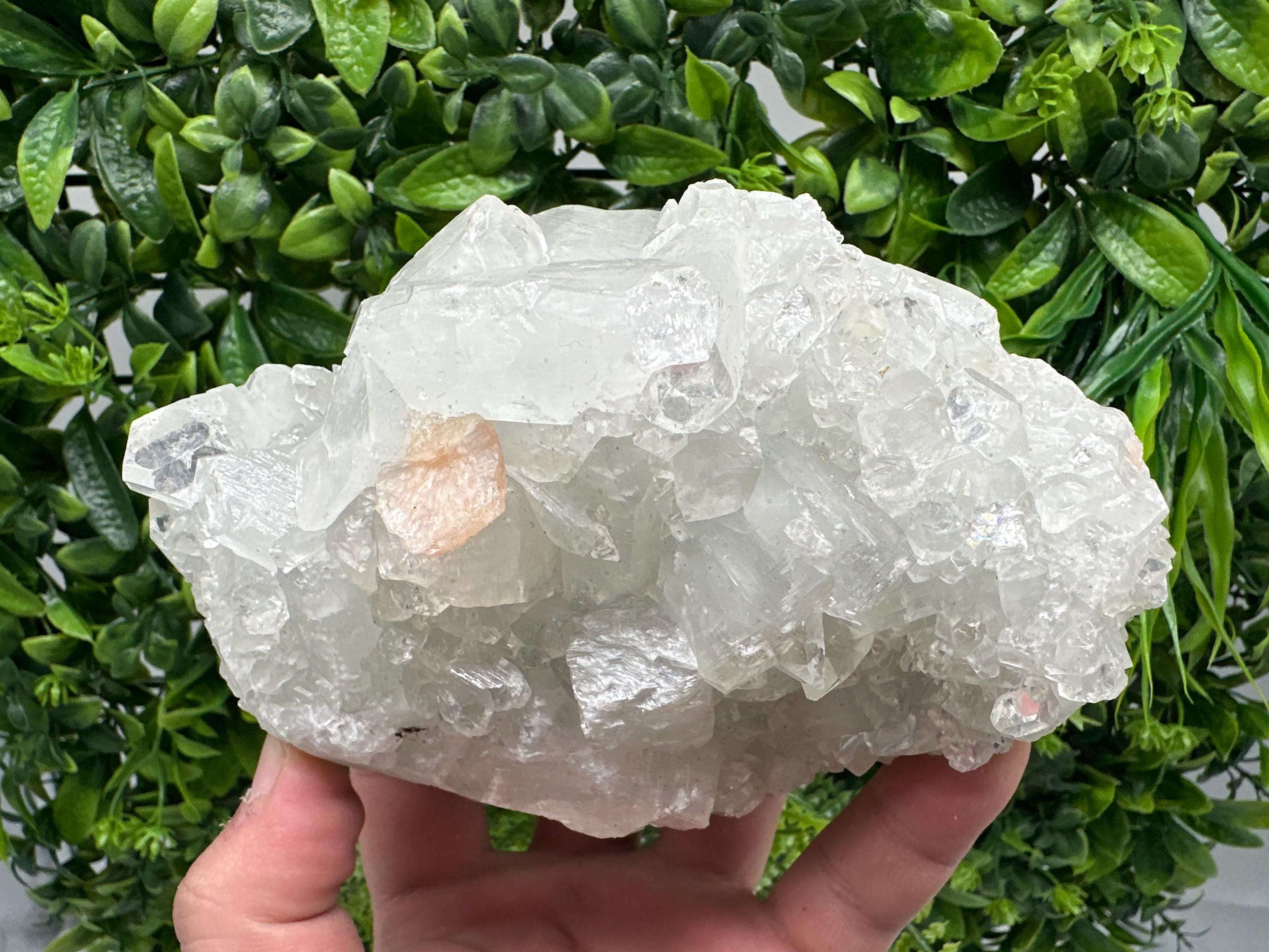 STUNNING Apophyllite,Stilbite,on CHALCEDONY,natural,collection minerals specimen,India ,Mineral,Crystal,Stone Mineral Specimen India Crystal