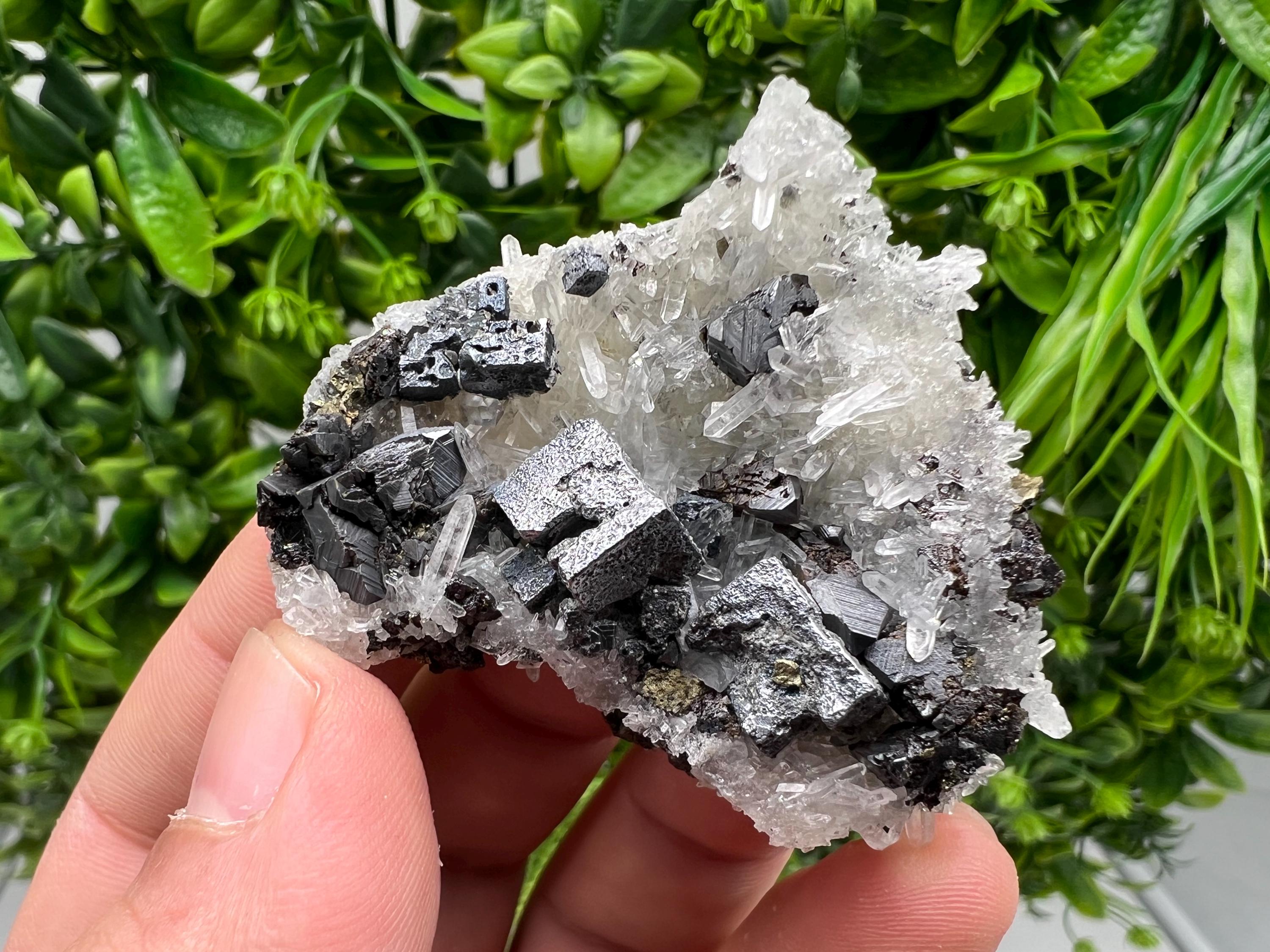 Aesthetic Natural shiny Galena whit Siderite and Quartz from 9 th September mine,Bulgaria,collection specimen,rare galena,Galena cluster