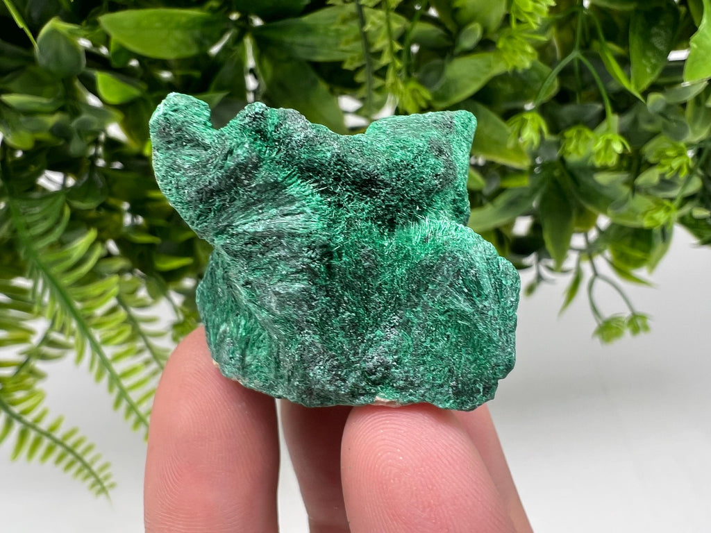 Malachite Crystal from Congo,Minerals,Crystals from Congo,Green Malachite, Malachite,Natural Malachite,Malachite Stone,Chakra, Specimens