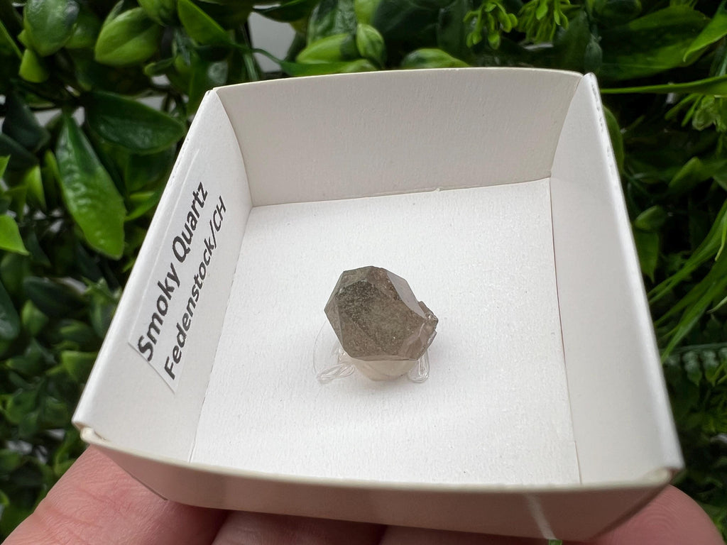 Rare Fedenstock Smoky Quartz Point, Swiss Mineral Specimen (15MM)