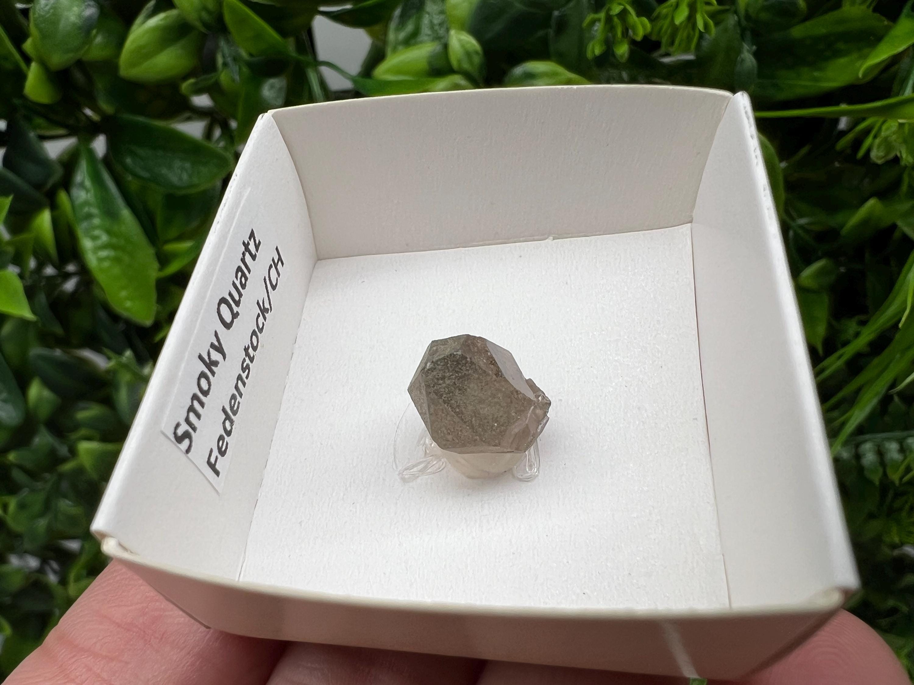 Rare Fedenstock Smoky Quartz Point, Swiss Mineral Specimen (15MM)