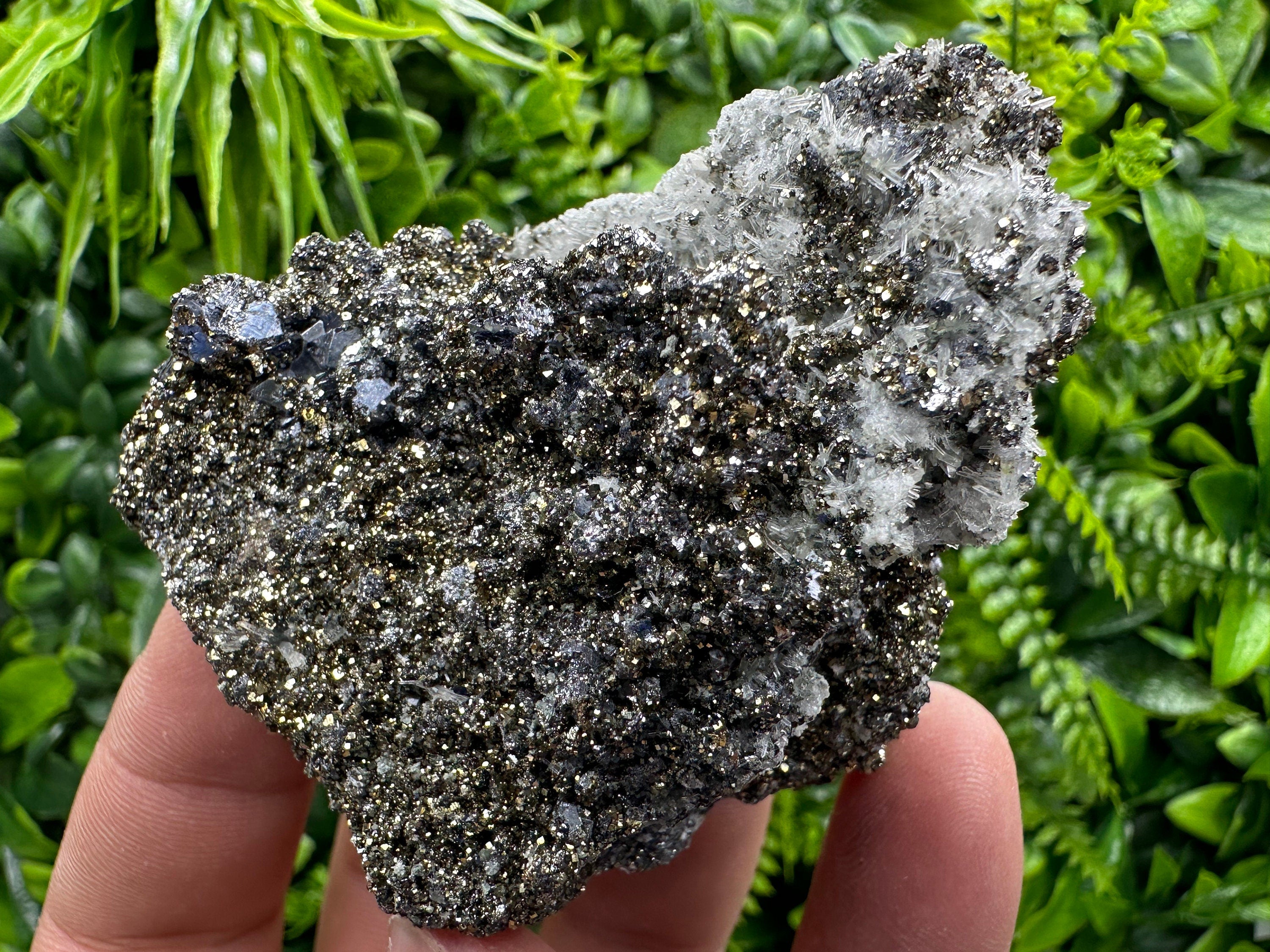 Galena Pyrite on Quartz Crystal Cluster - Borieva Mine, Bulgaria