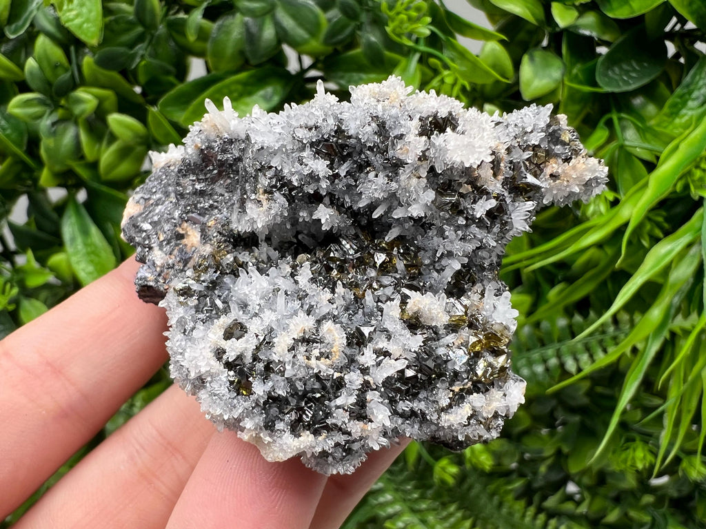 Stunning Gems Sphalerite Cleiopfane on Quartz from Krushev dol mine,Madan,Bulgaria,natural,collectible mineral specimen,home decor stone
