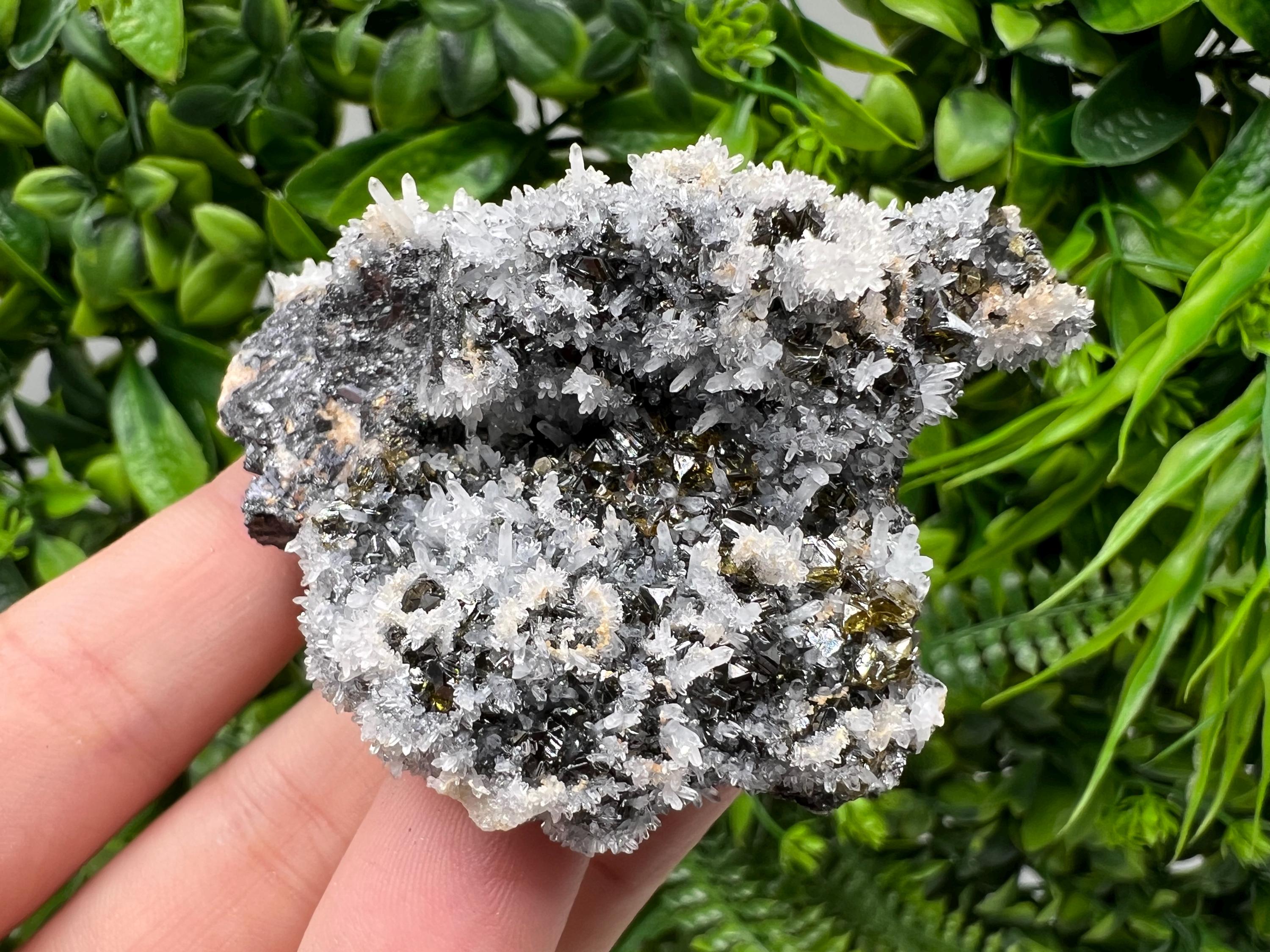 Stunning Gems Sphalerite Cleiopfane on Quartz from Krushev dol mine,Madan,Bulgaria,natural,collectible mineral specimen,home decor stone