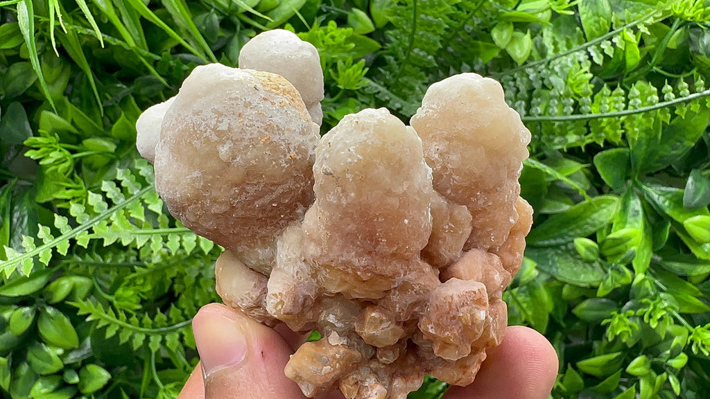 Dimitrovgrad Aragonite Cluster, Bulgaria, Natural Mineral Specimen