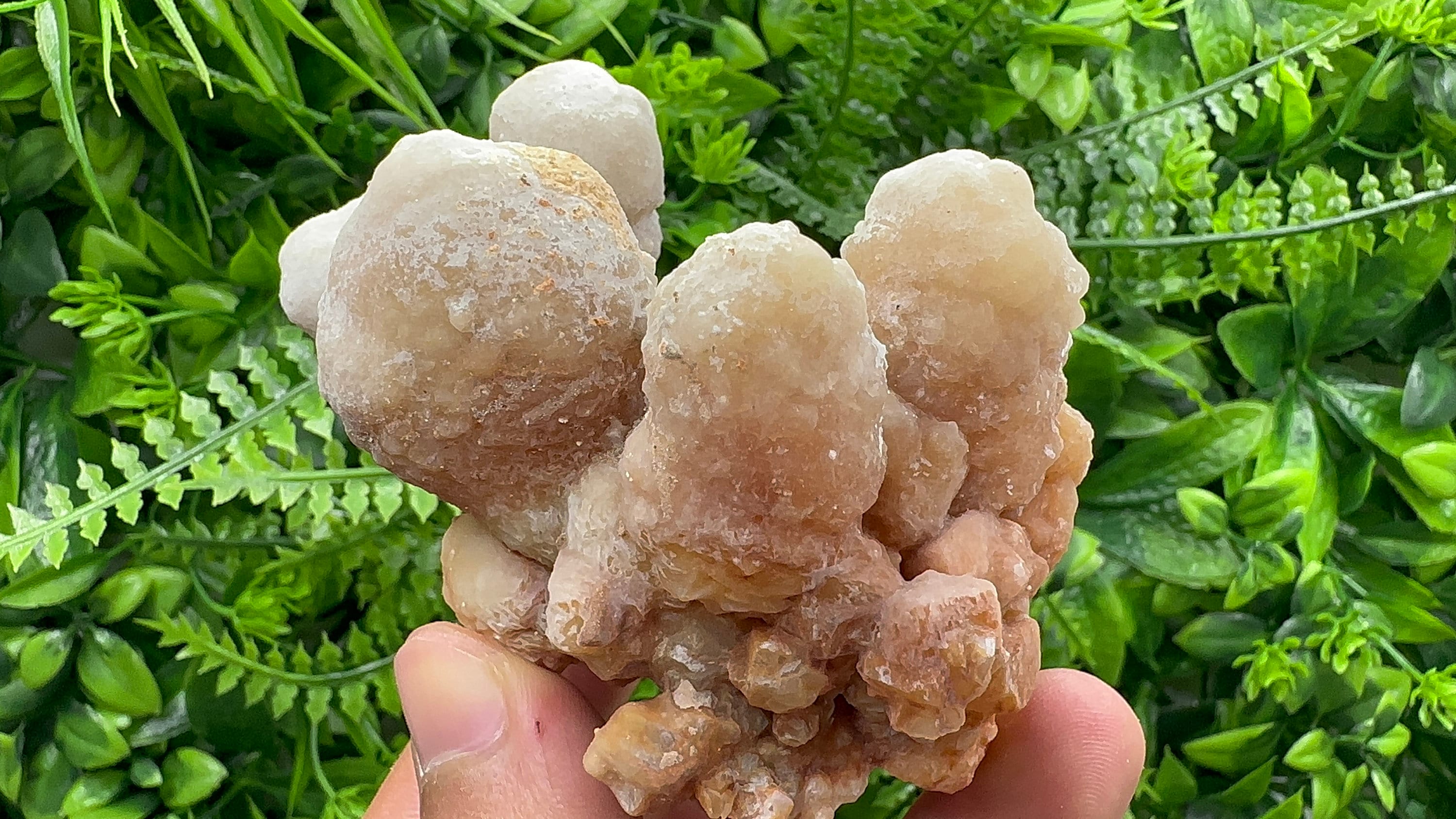 Dimitrovgrad Aragonite Cluster, Bulgaria, Natural Mineral Specimen