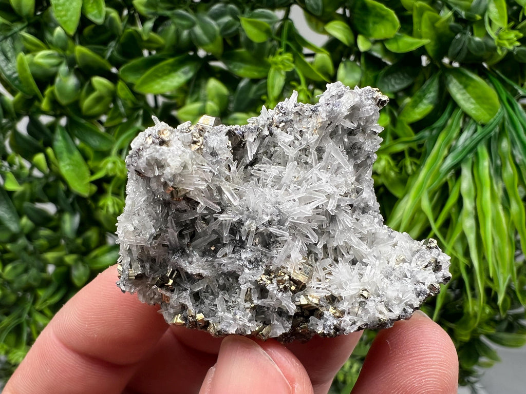 Pyrite on Green Quartz Mineral Specimen, Borieva Mine Bulgaria