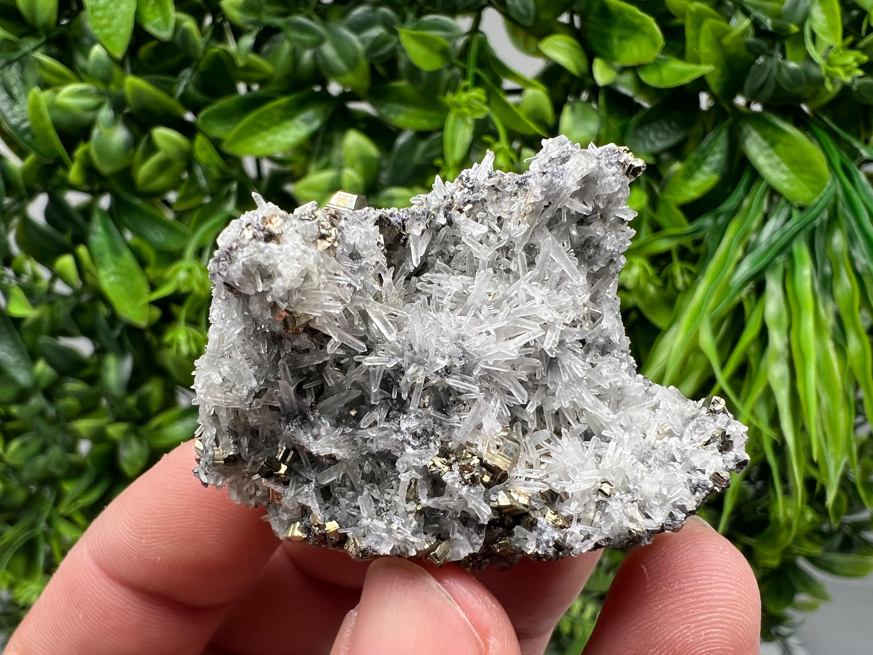 Pyrite on Green Quartz Mineral Specimen, Borieva Mine Bulgaria