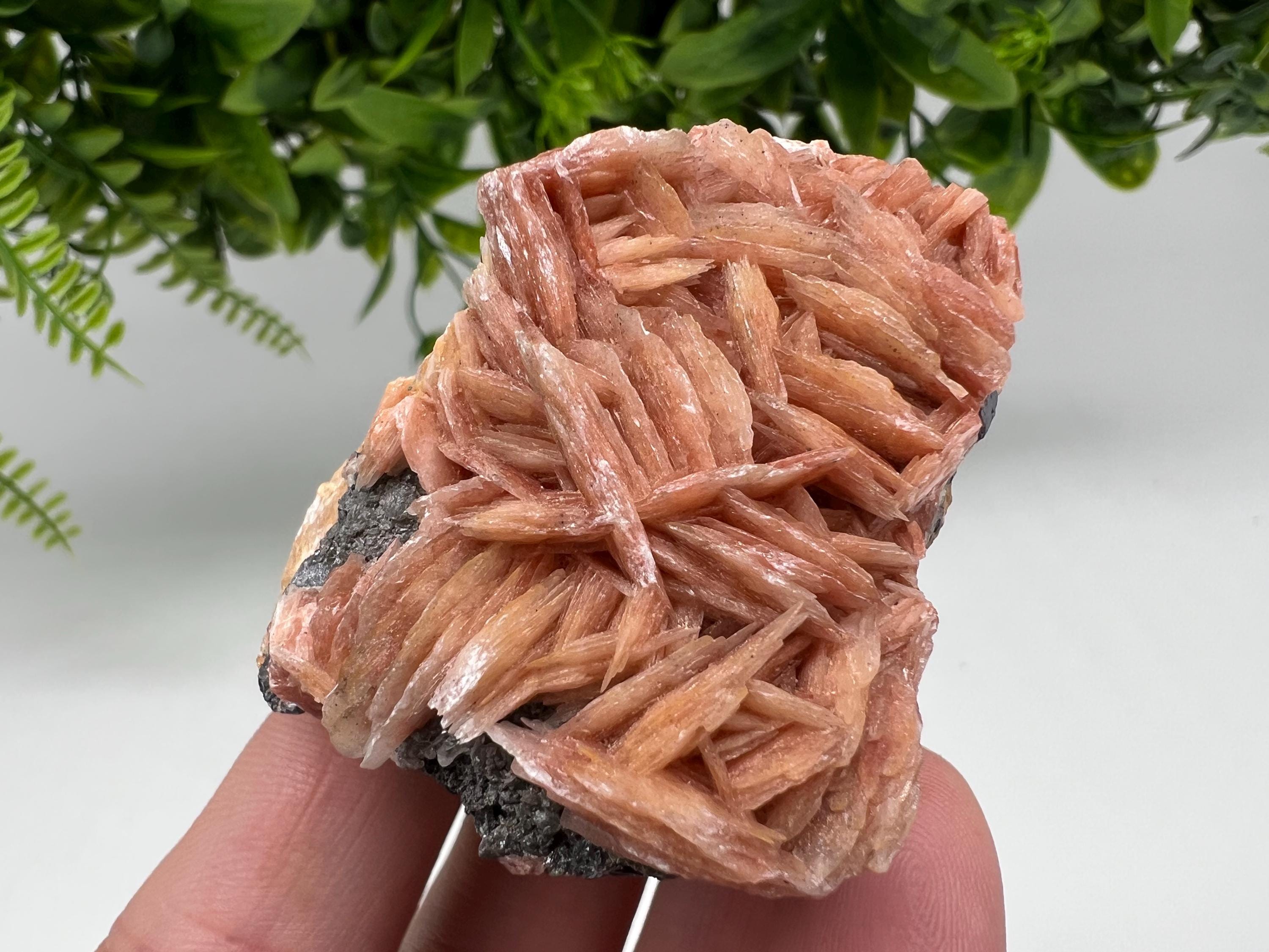 Wonderful Baryte with Cerussite on Galena from Morocco,Crystal, Mineral,Specimen,Cluster,Crystals,Barite Crystal,Cerussite Crystal,Specimen