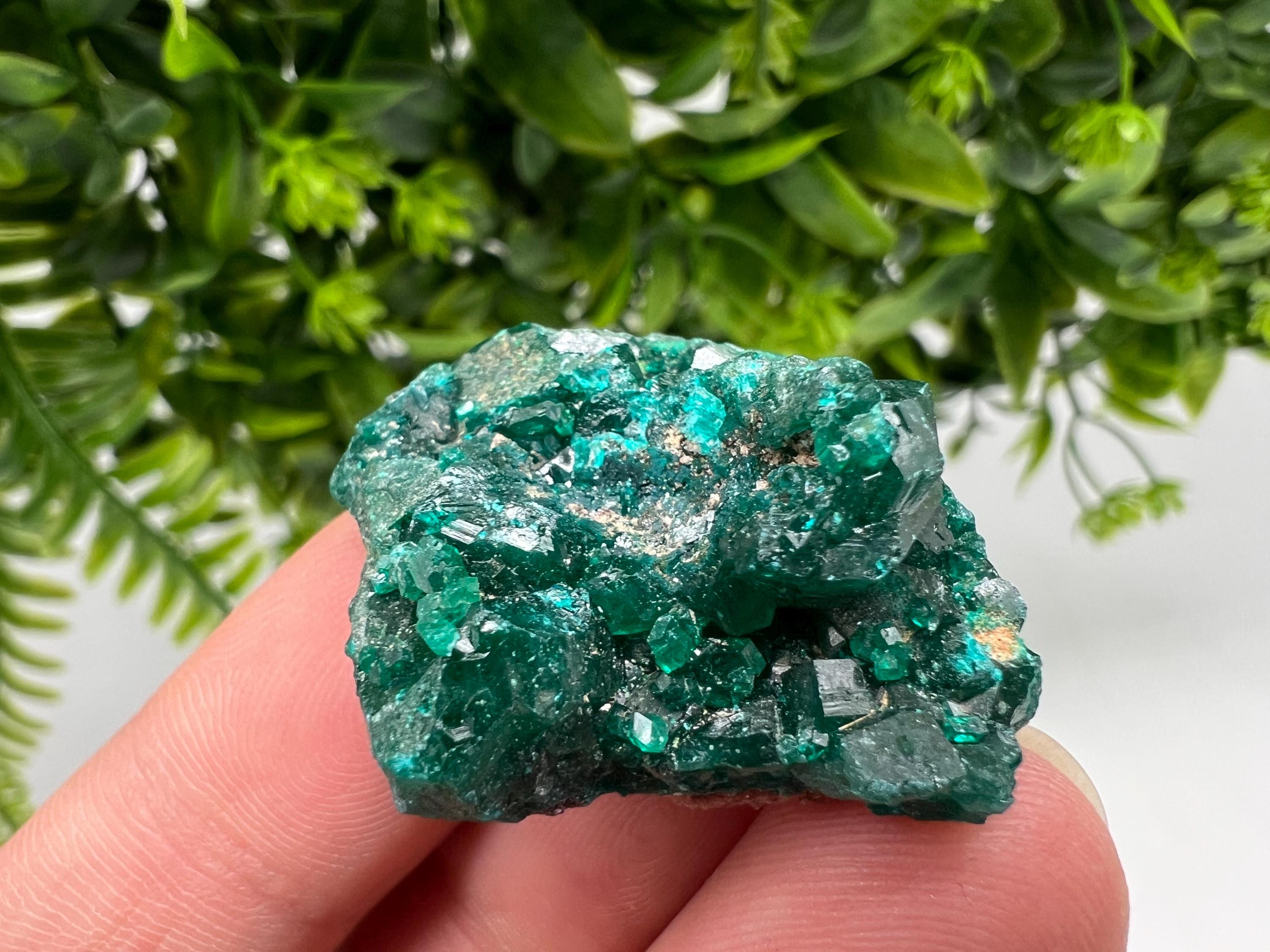 Stunning Green Dioptase from Sanda Hills,Mindouli,Pool Department,Mindouli District,Congo,green Dioptase,Dioptas Crystal,Dioptase collecting