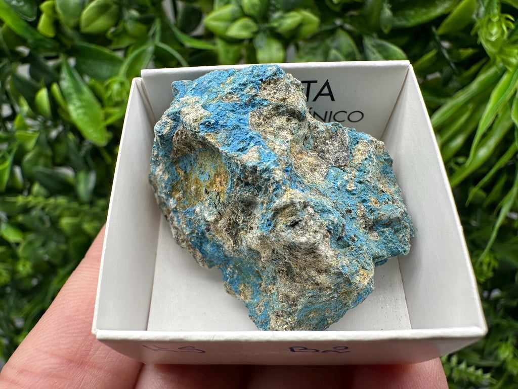 Rare Raw Aerinite Mineral Specimen: Lleida, Spain Crystal