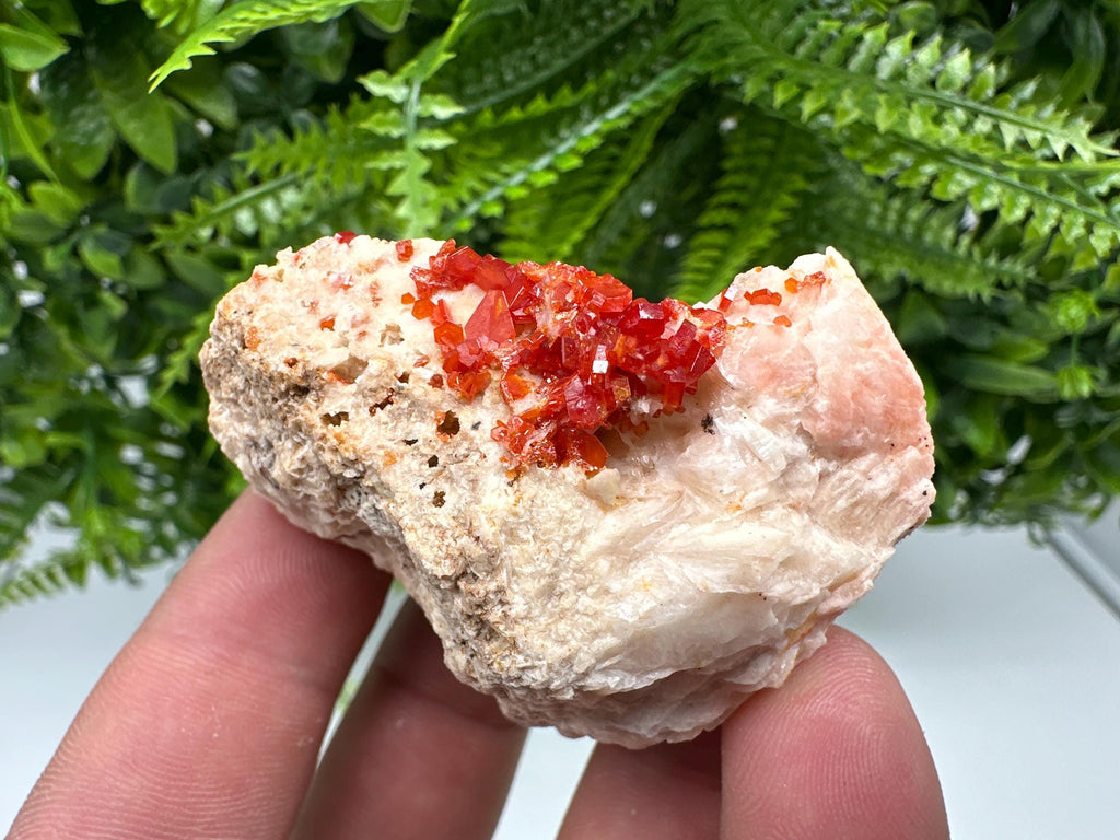 Red Vanadinite on Barite, Morocco Mineral Specimen