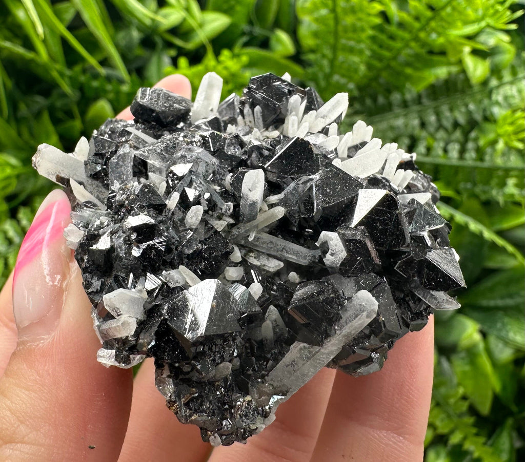 Borieva Mine Sphalerite on Quartz: Rare Mineral Cluster