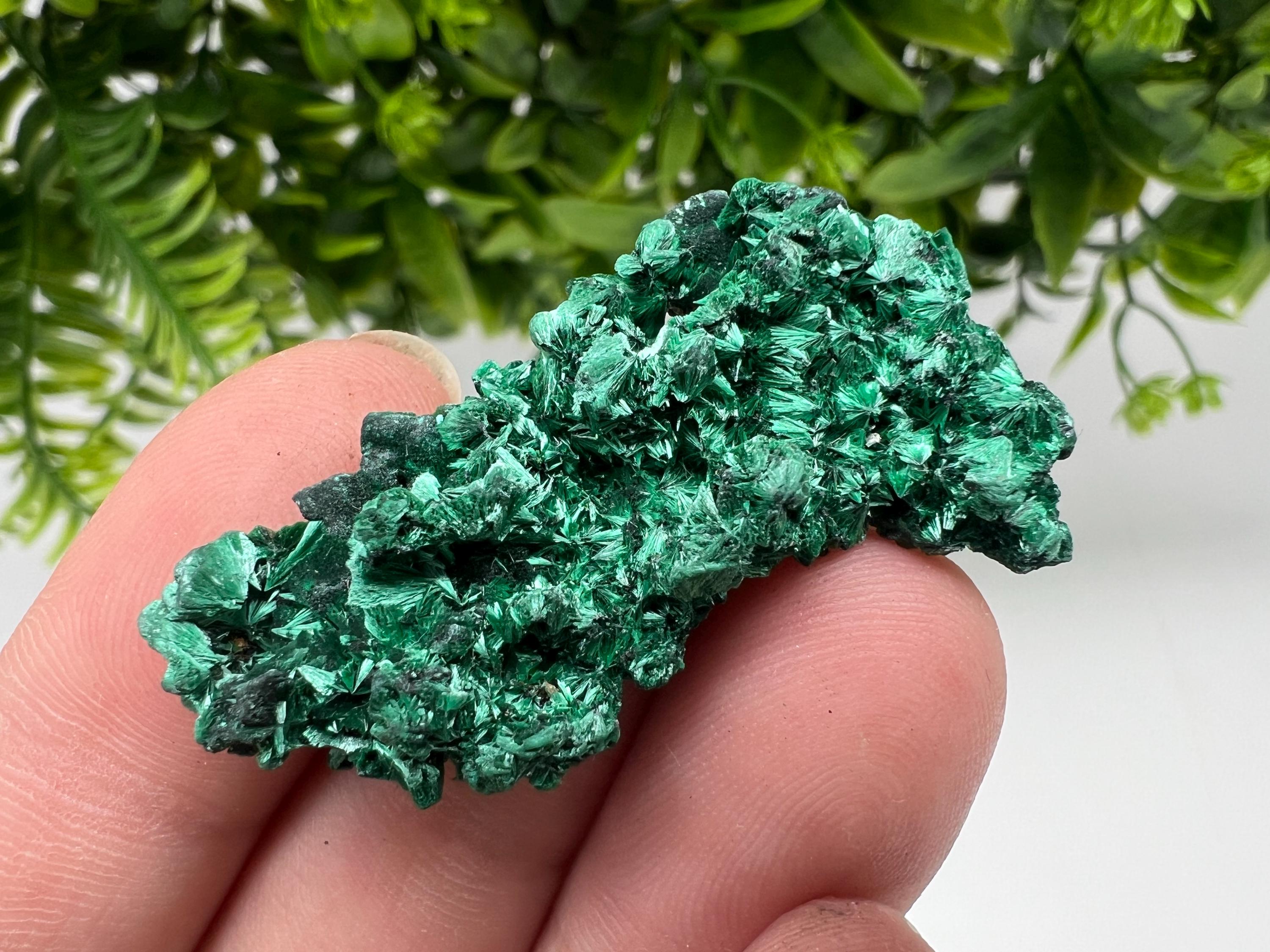 Malachite Crystal from Congo,Minerals,Crystals from Congo,Green Malachite, Malachite,Natural Malachite,Malachite Stone,Chakra, Specimens