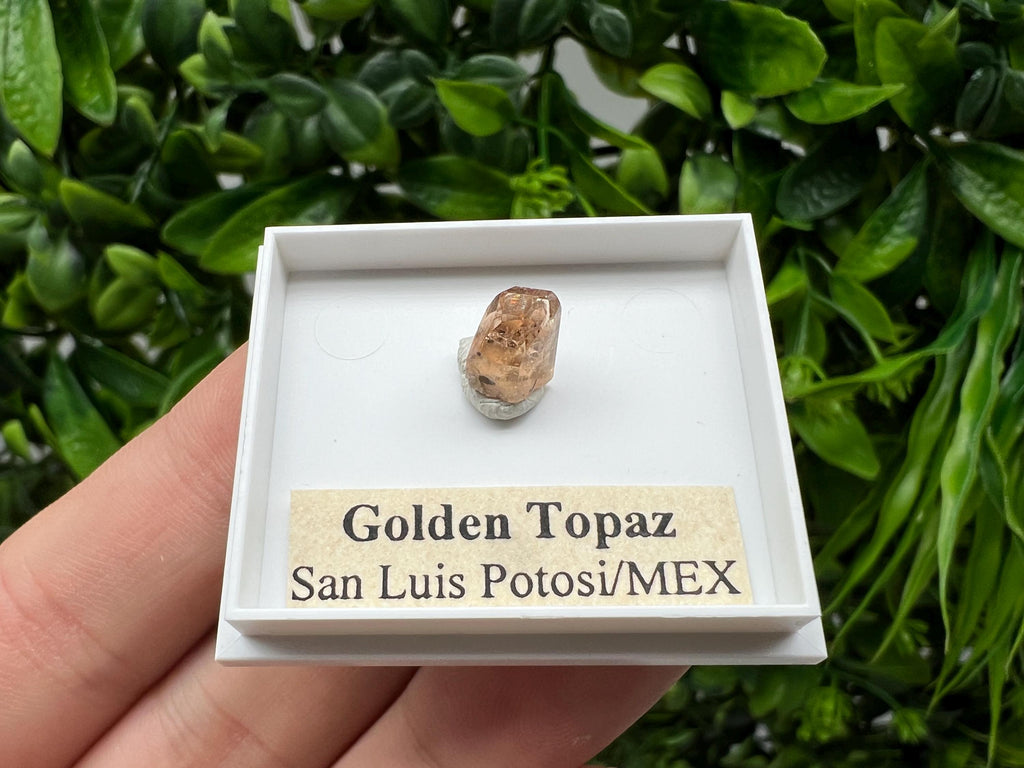 Golden Topaz Crystal, Mexico Mineral Specimen, Collectible