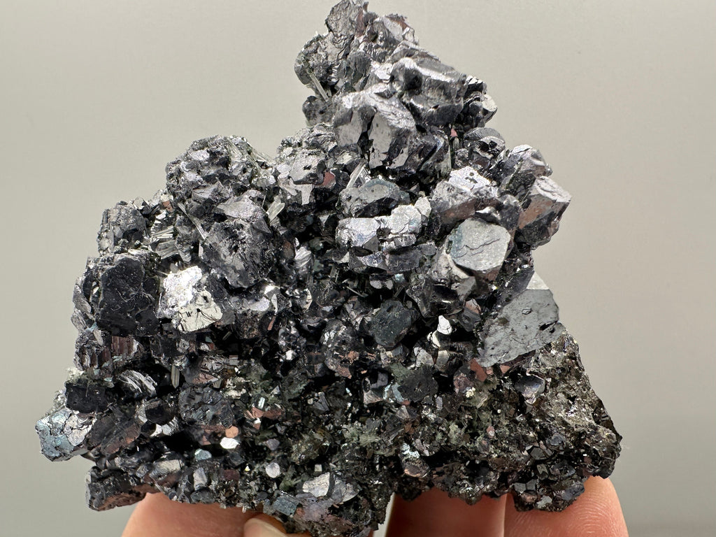 Shiny Galena on Sphalerite, Borieva Mine, Bulgaria