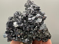 Shiny Galena on Sphalerite, Borieva Mine, Bulgaria
