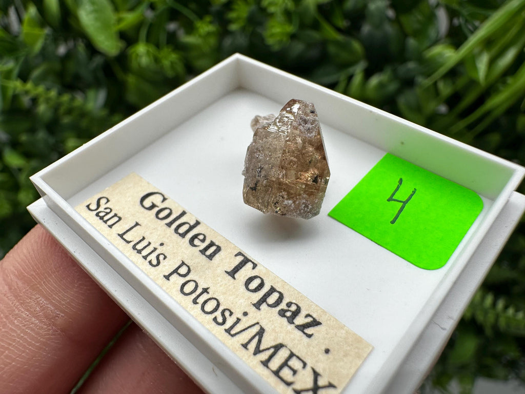 Golden Topaz Crystal, Mineral Specimen from Mexico