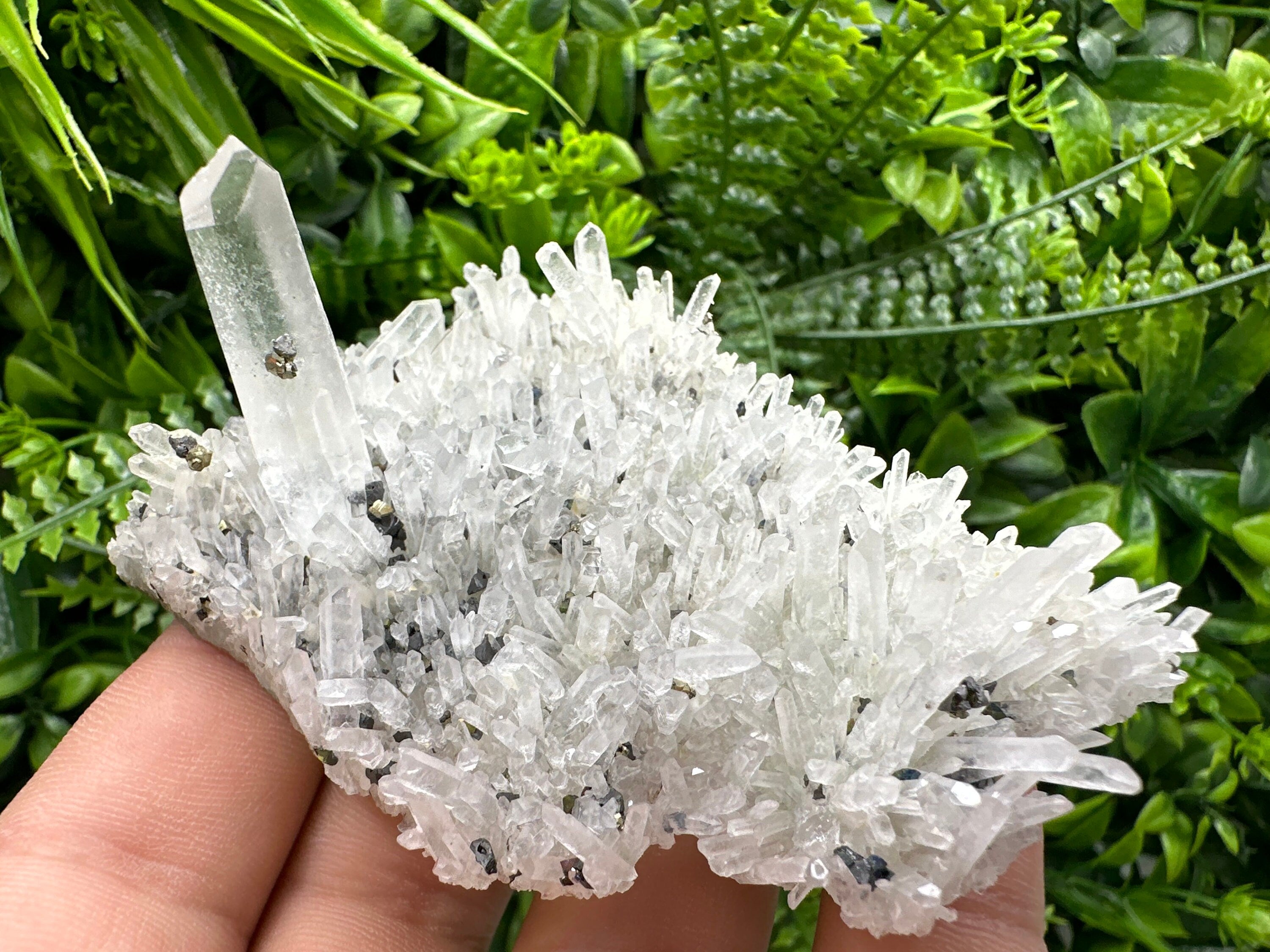 Quartz with Pyrite and Galena, Krushev Dol Mine, Bulgaria