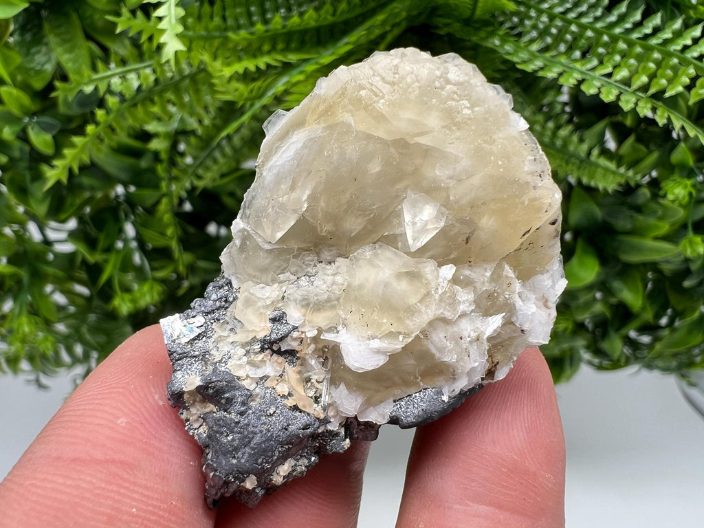 Calcite on Galena Specimen: Borieva Mine, Bulgaria