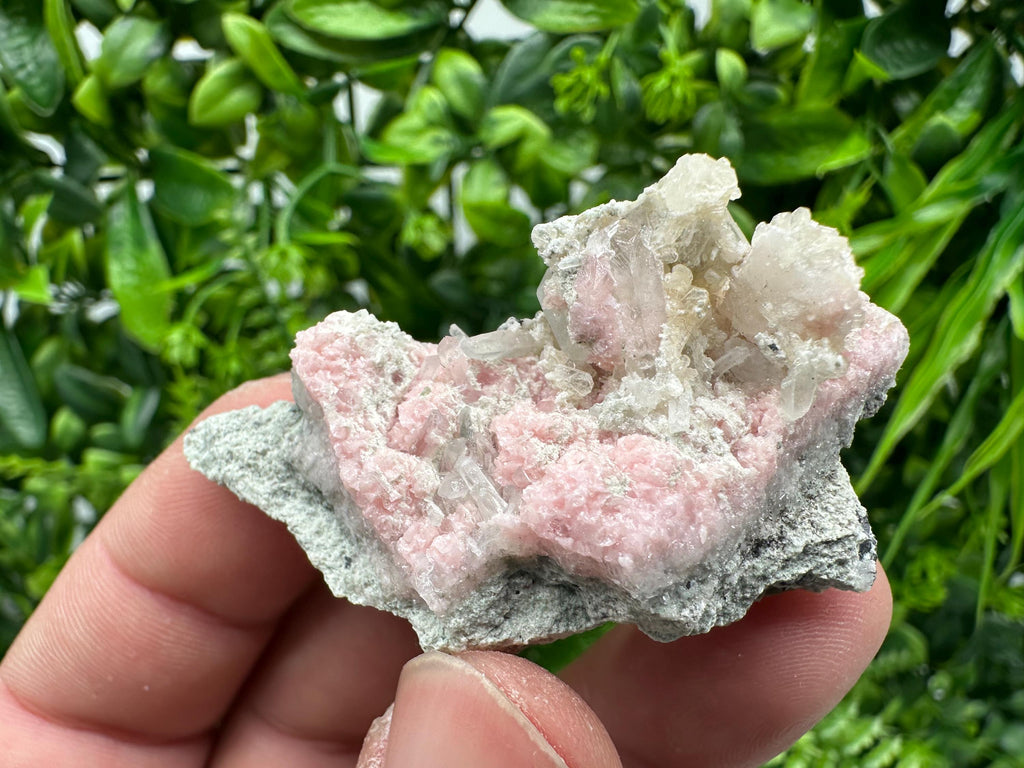 Pink Rhodochrosite Crystal: Starnica Mine, Bulgaria - Home Decor Stone