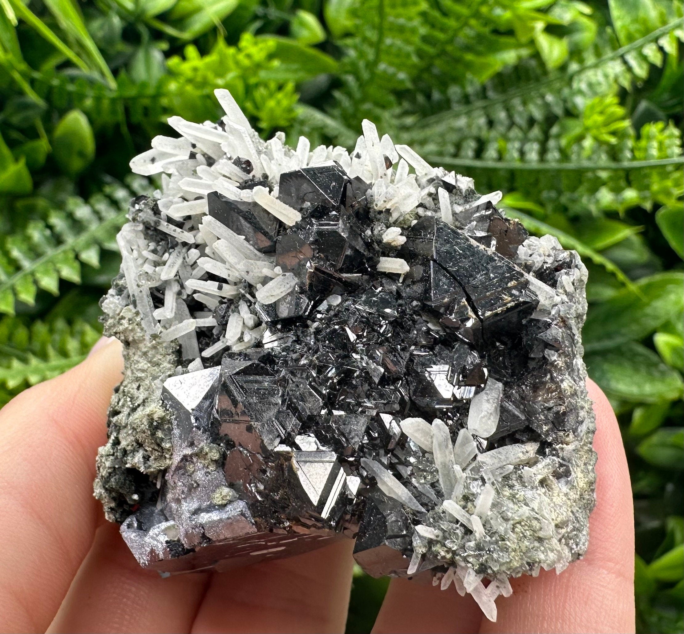 Borieva Sphalerite on Quartz: Rare Mineral Cluster