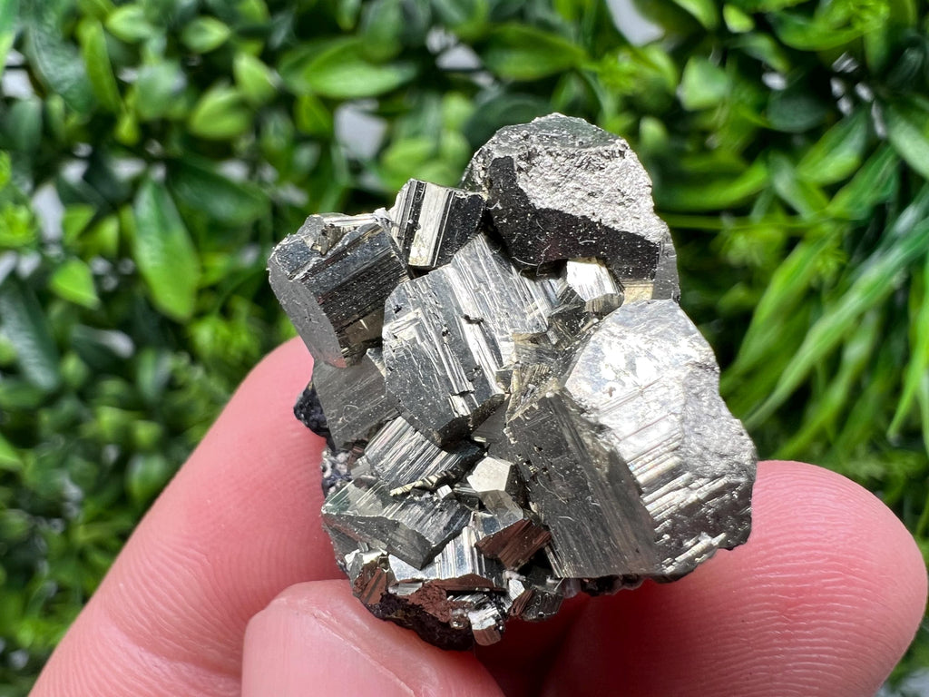 Golden Pyrite Cluster with Sphalerite, Madan Bulgaria Mineral Specimen