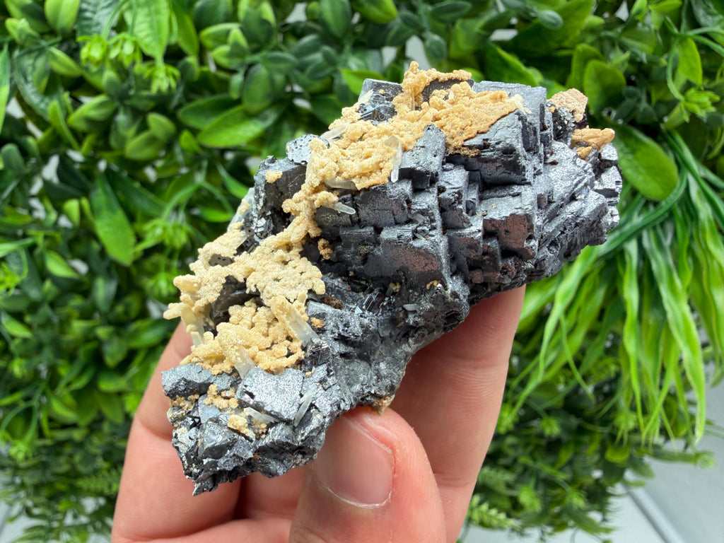 Aesthetic Natural shiny Galena whit Siderite and Quartz from 9 th September mine,Bulgaria,collection specimen,rare galena,Galena cluster