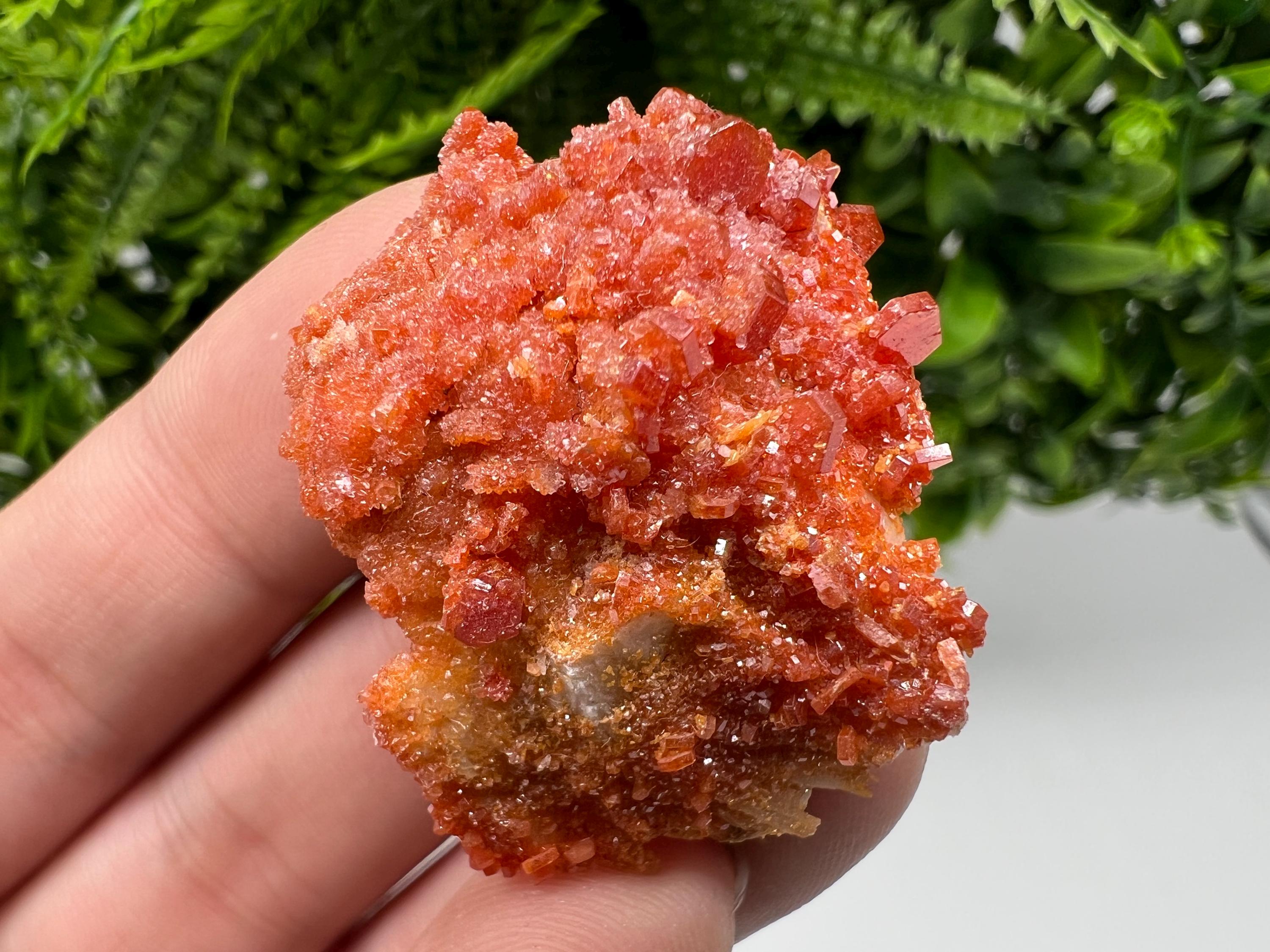 Red Vanadinite Crystal Cluster on Barite, Morocco Mineral Specimen