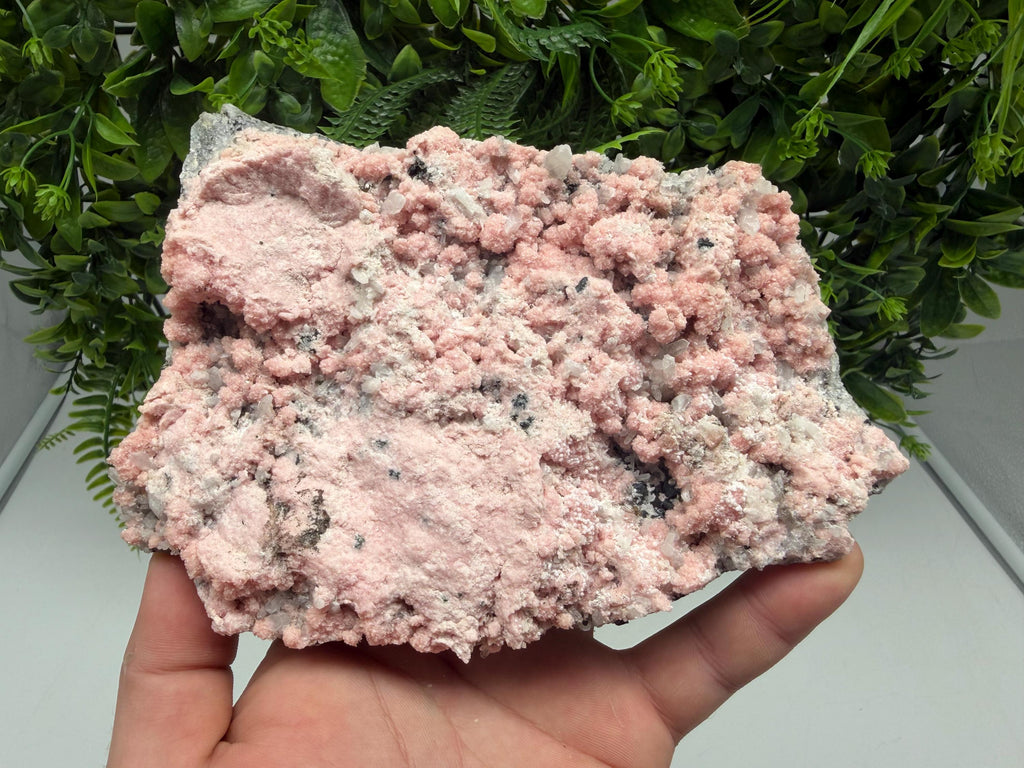 Pink Rhodochrosite Crystal, Starnica Mine, Bulgaria, Mineral Decor