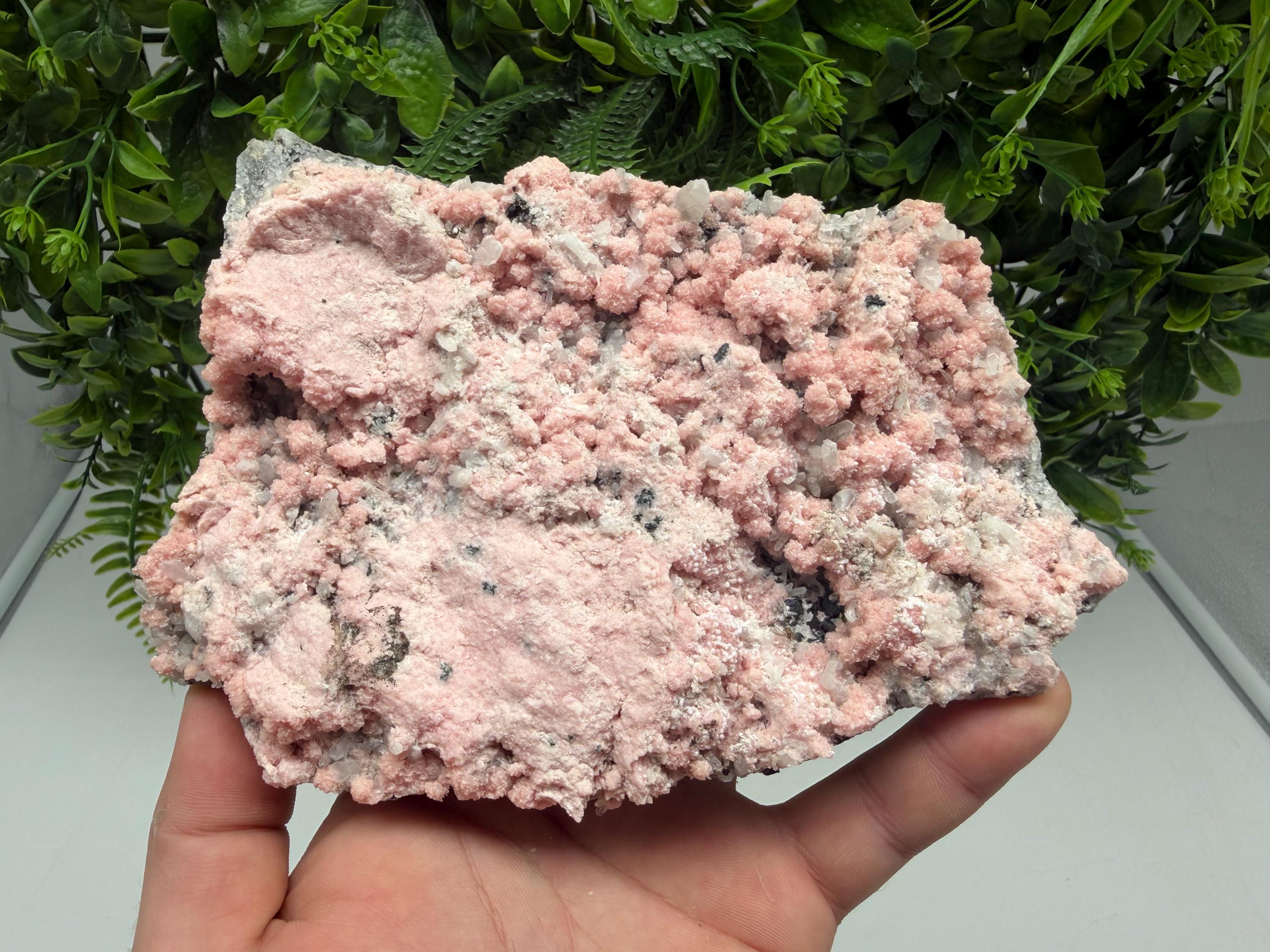 Pink Rhodochrosite Crystal, Starnica Mine, Bulgaria, Mineral Decor